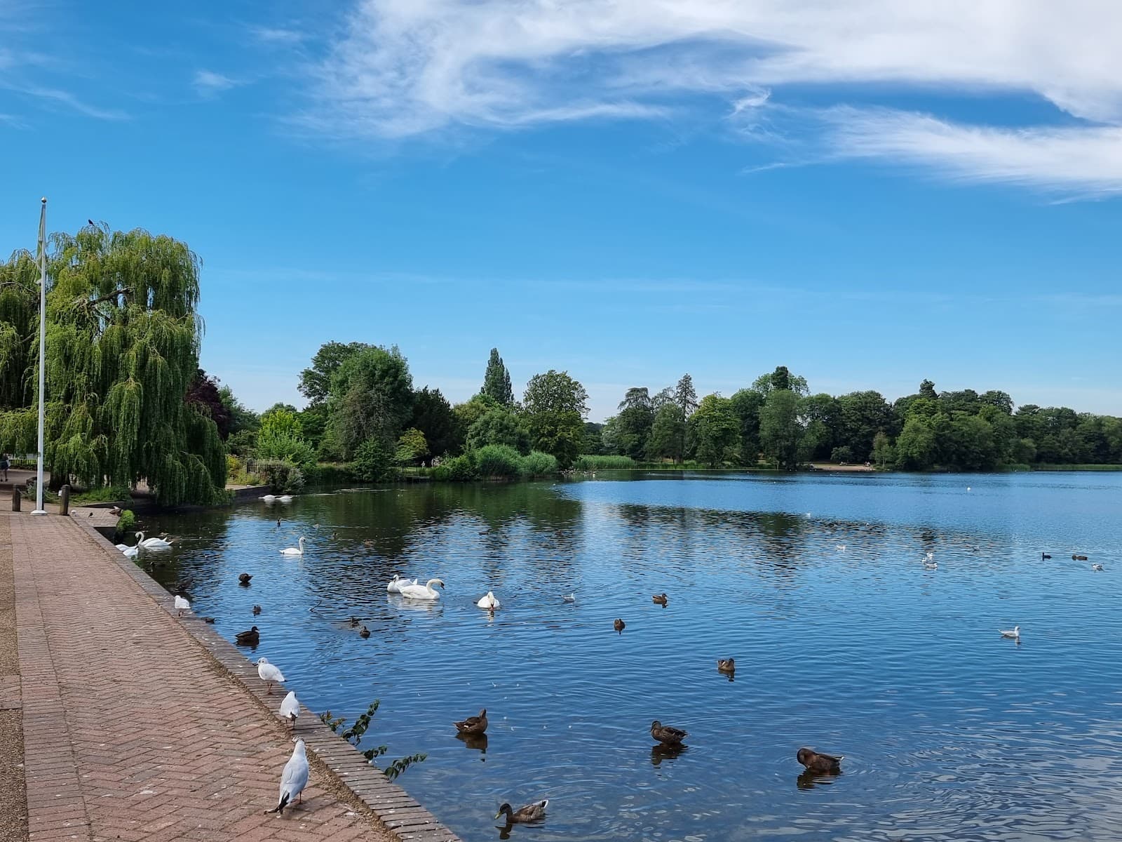 Ellesmere Meres and Cremorne Gardens - Image 1