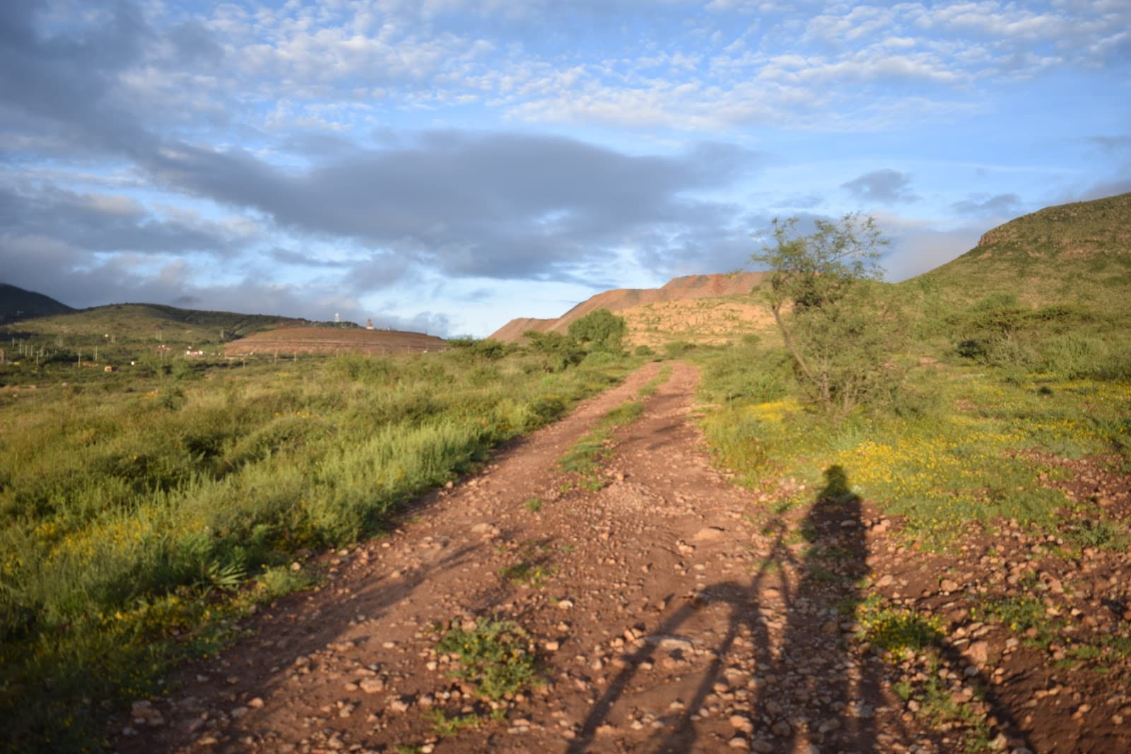 Real de Asientos - Image 1