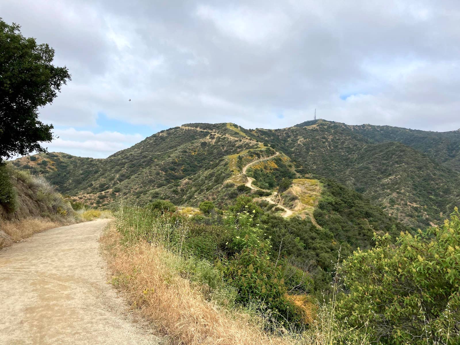 Panoramic Verdugo Mountain Views