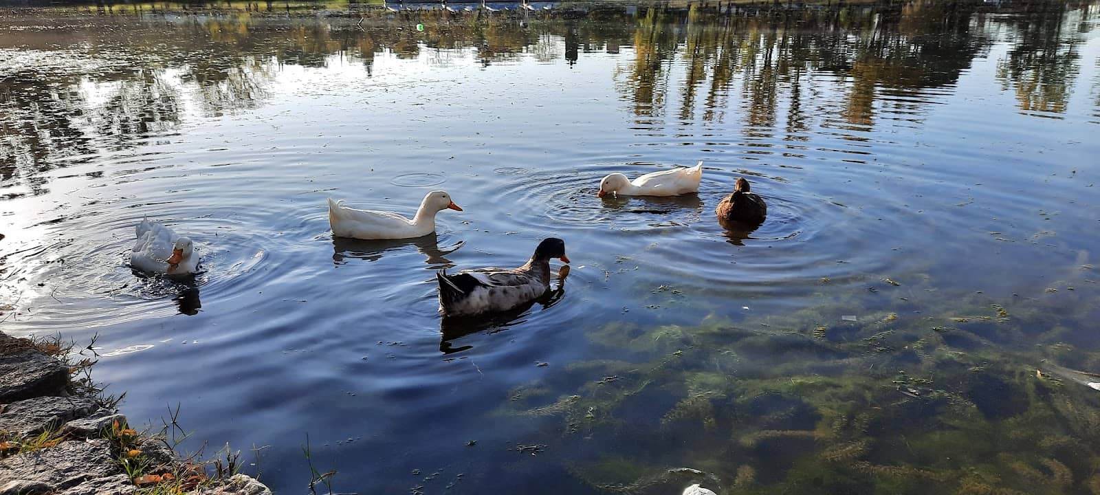 Museo Manuel de Falla