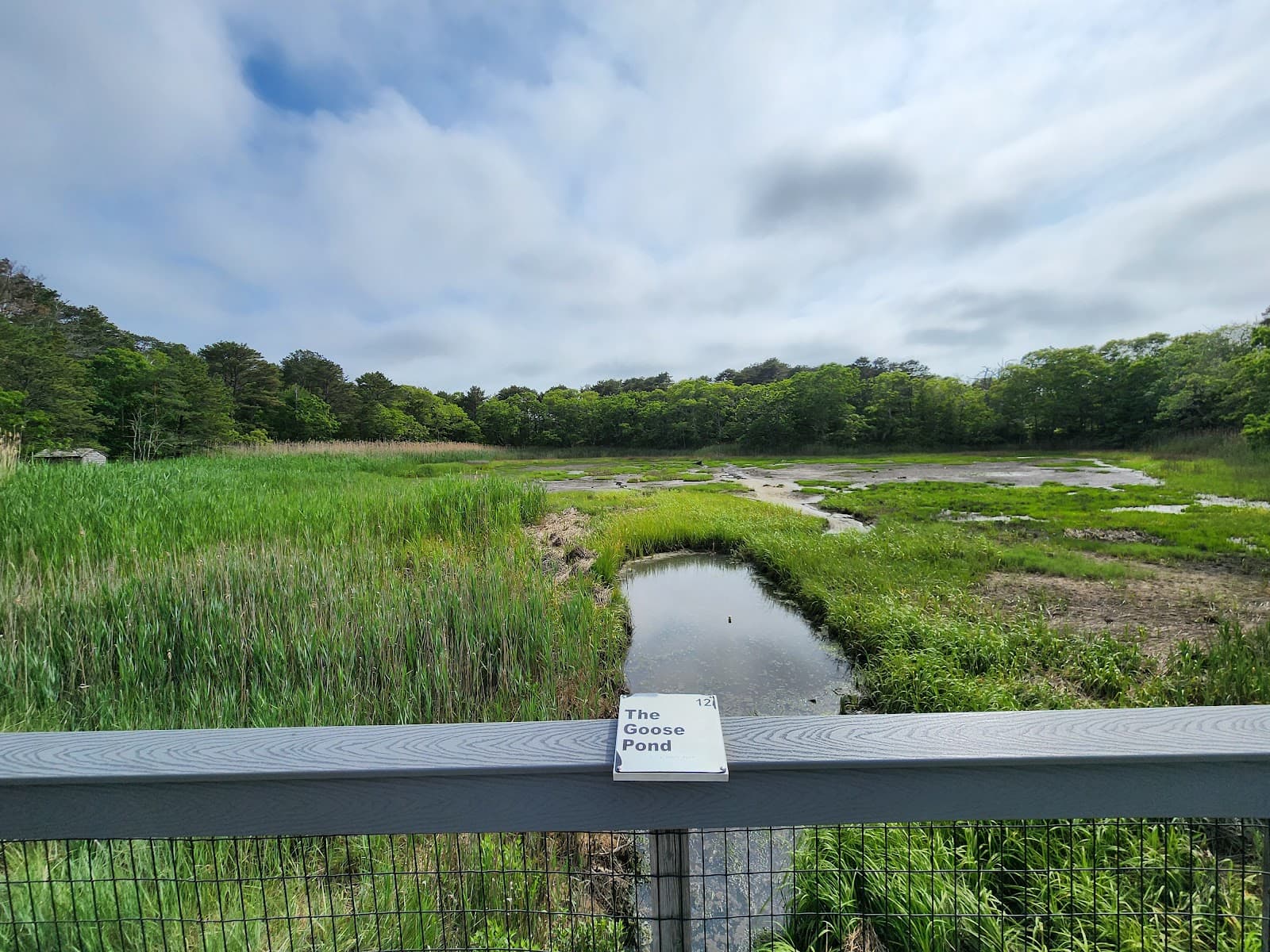 Goose Pond Trail - Image 1