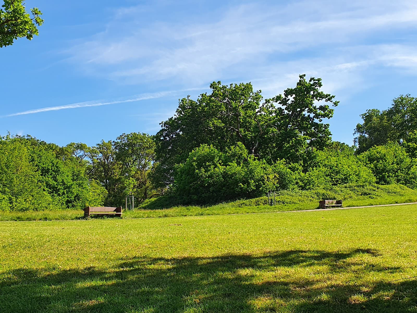 Hilly Fields Park - Image 1