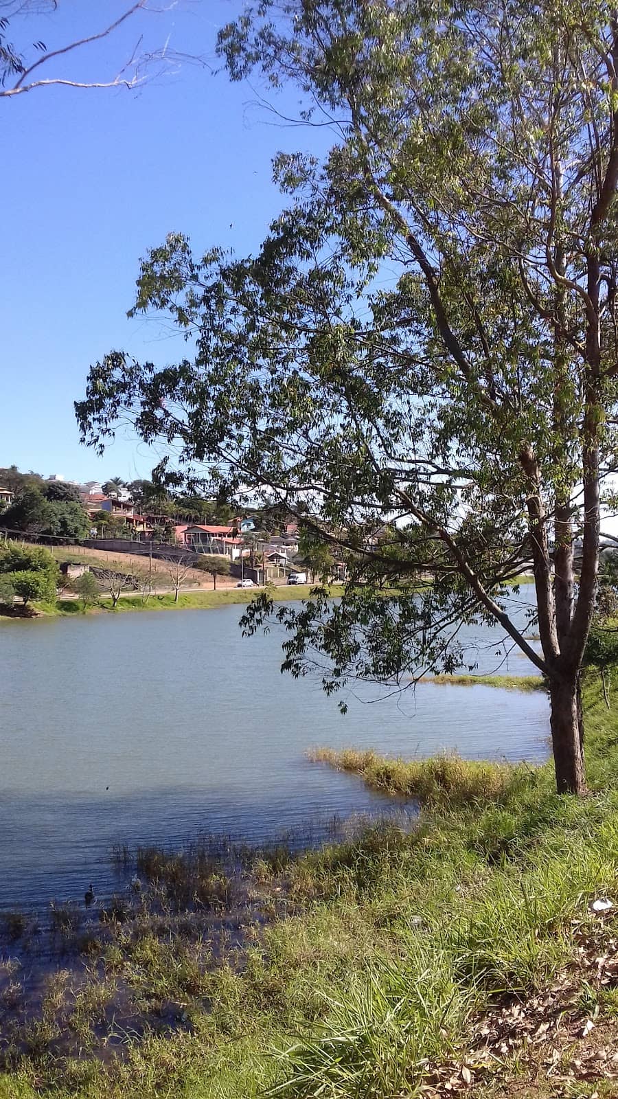 Natural Water Springs