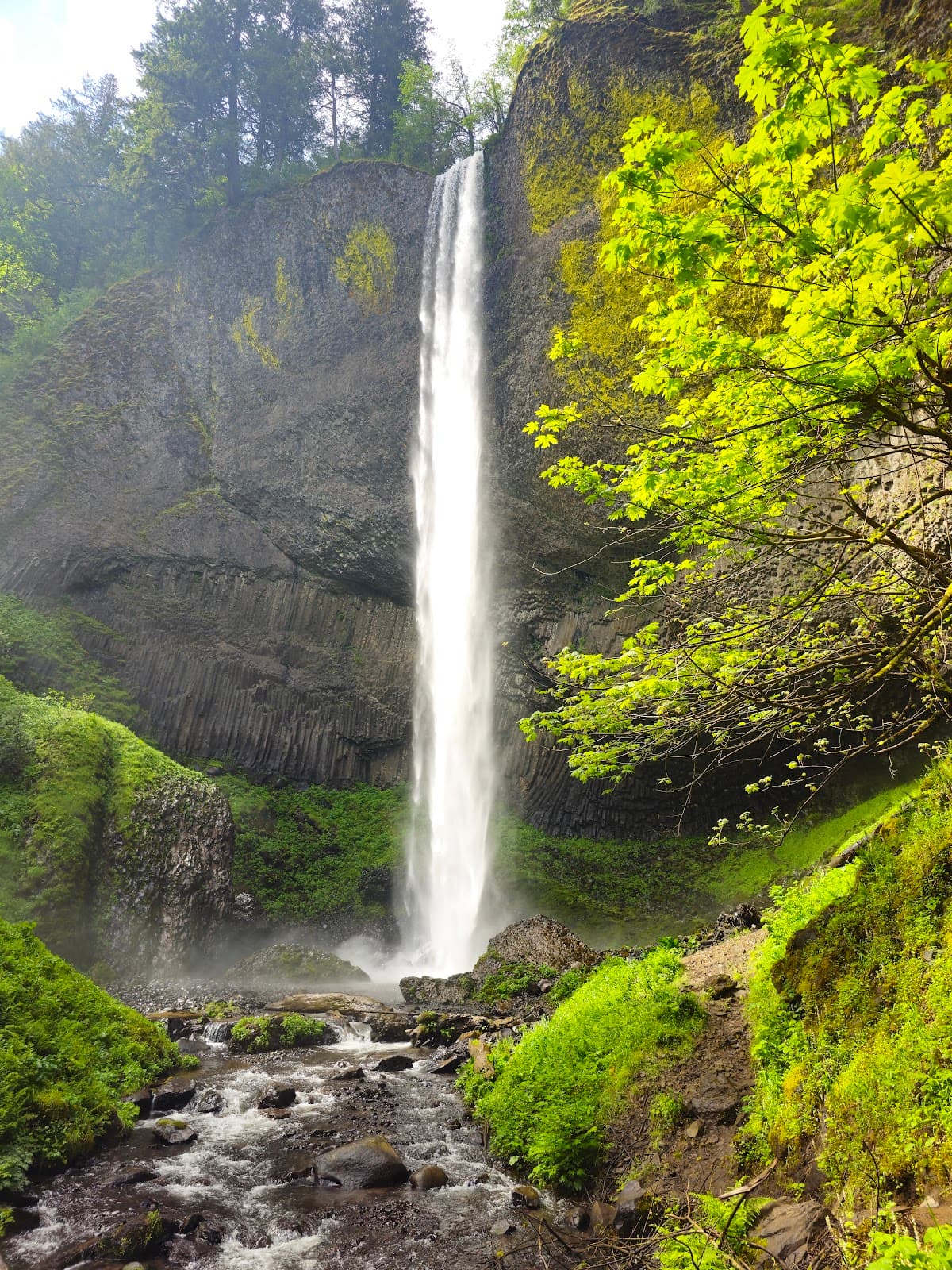 Latourell Falls - Image 1