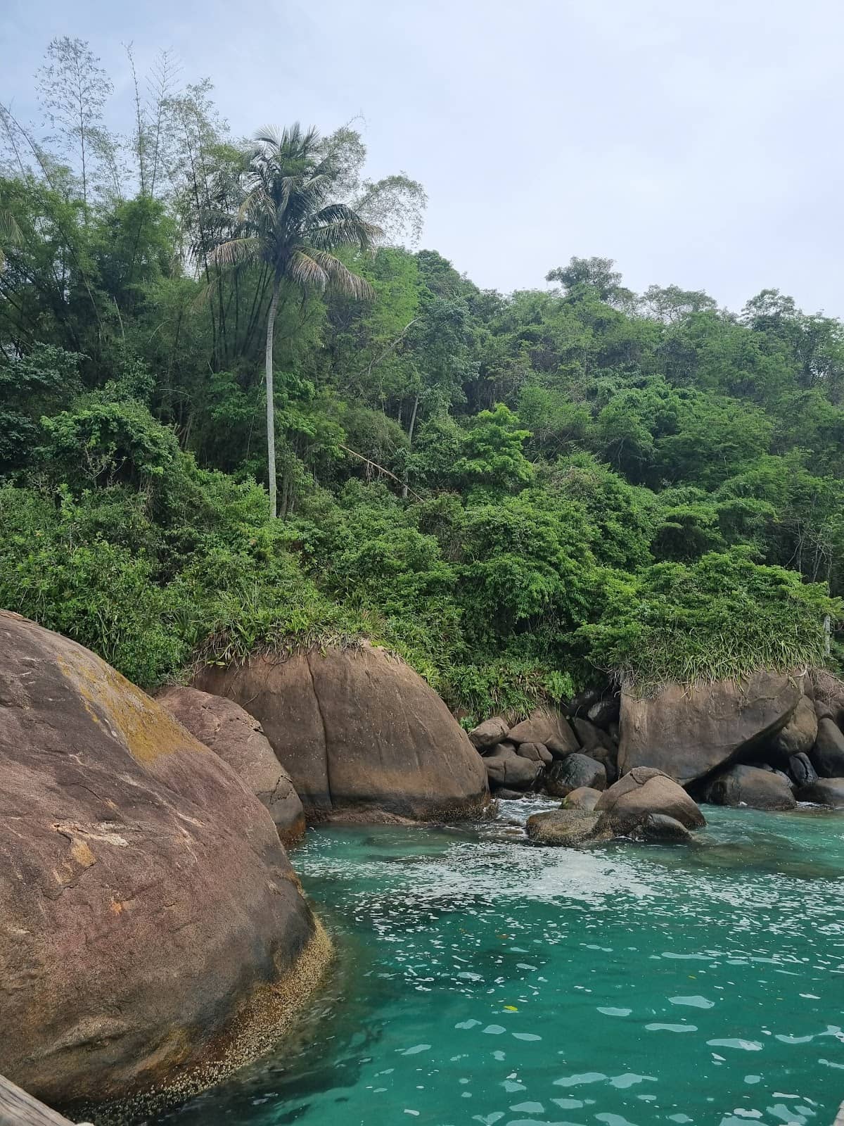 Tranquil White Sand Beach