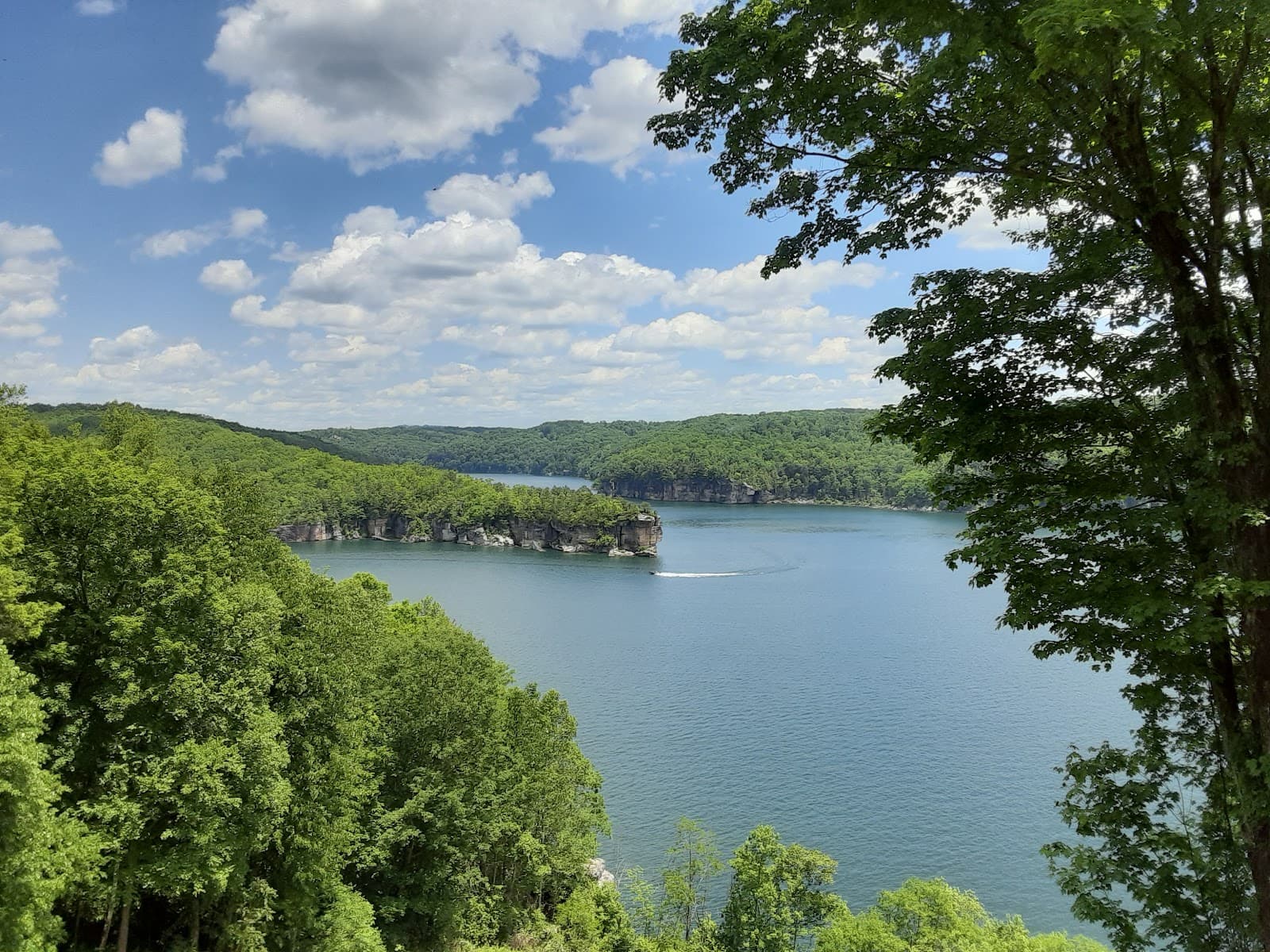 Summersville Lake - Image 1