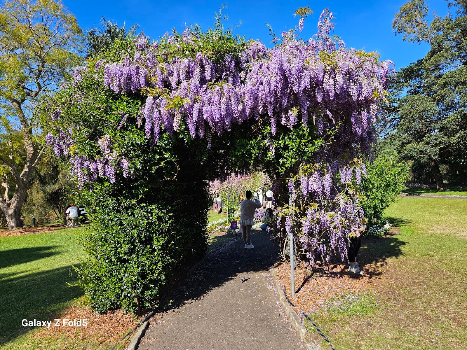 Wistaria Gardens - Image 1