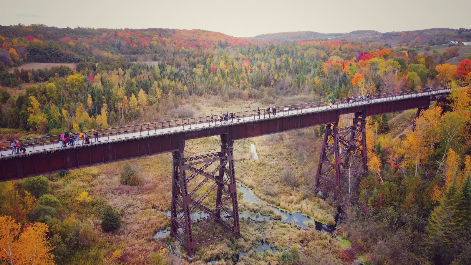 Doube's Trestle Bridge (TCT) - Image 1