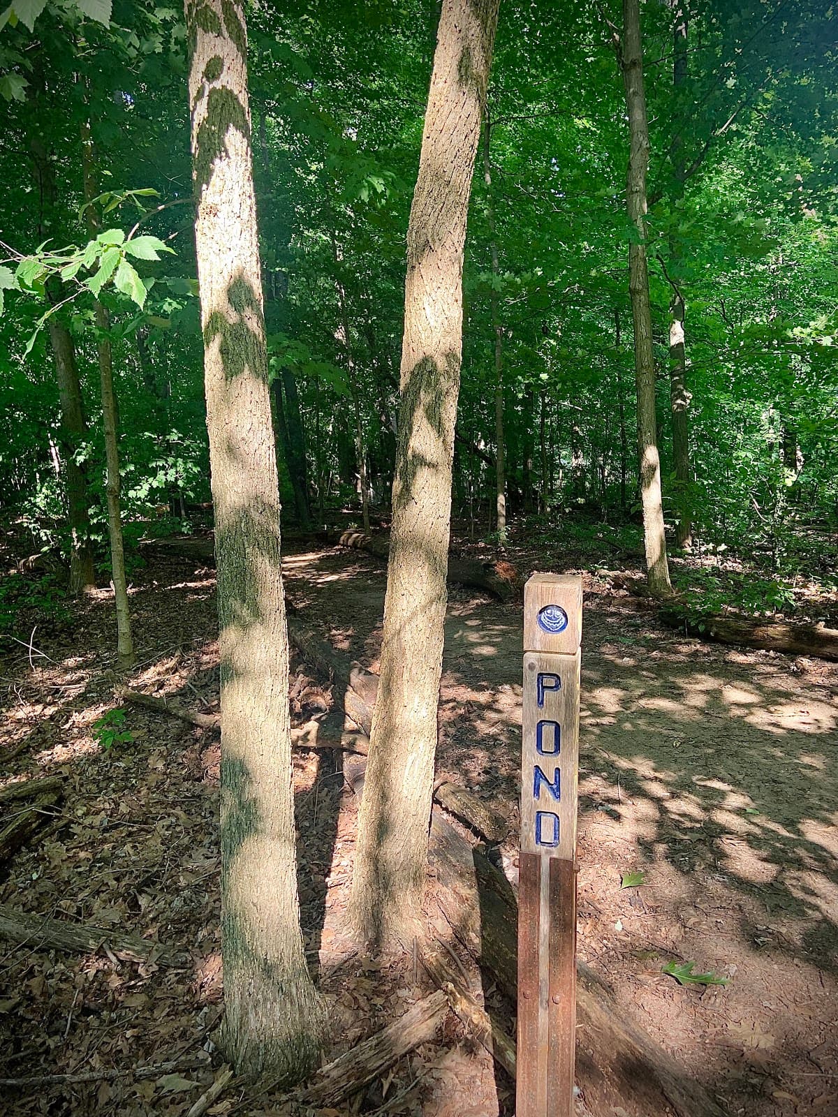 Tenhave Woods Nature Preserve - Image 1