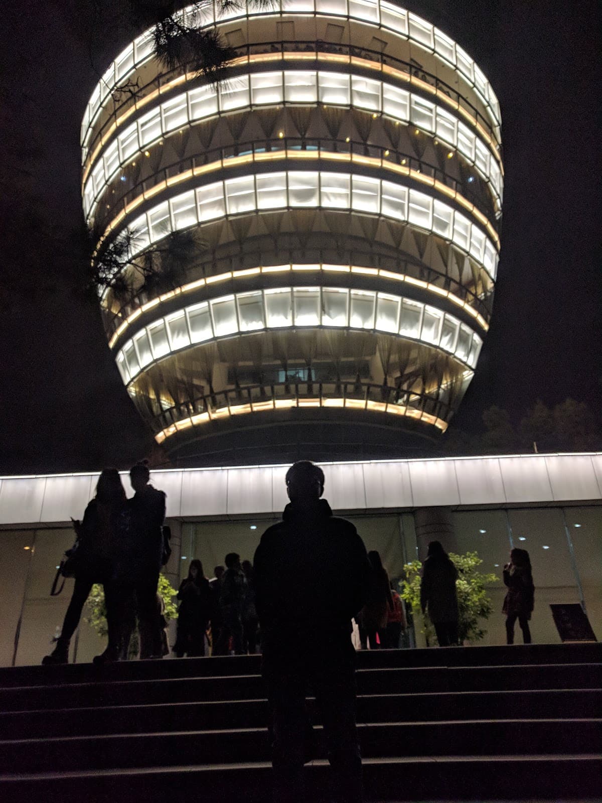 Nanshan One Tree Yikeshu - Image 1