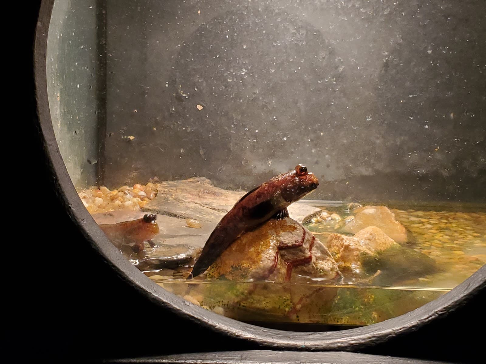 National Park Aquarium - Image 1