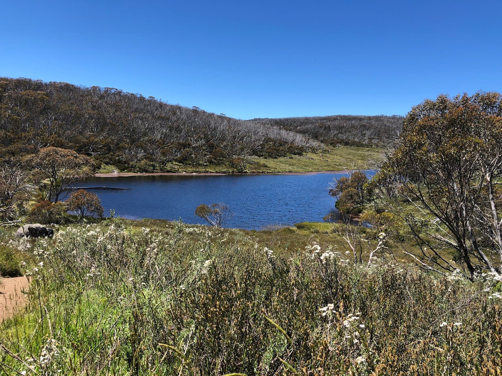 Rainbow Lake - Image 1