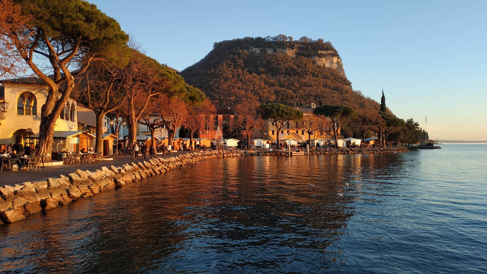 Christmas Under the Olives