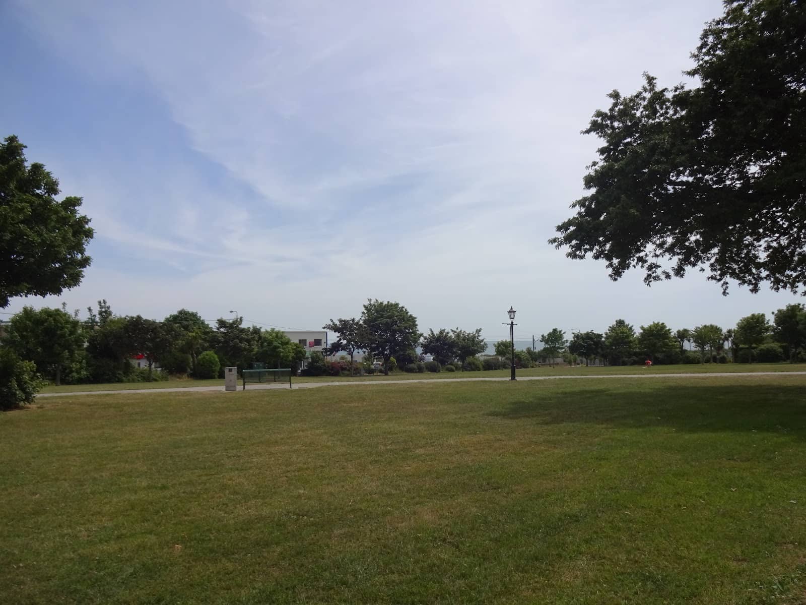 Central Park's Lush Greenery