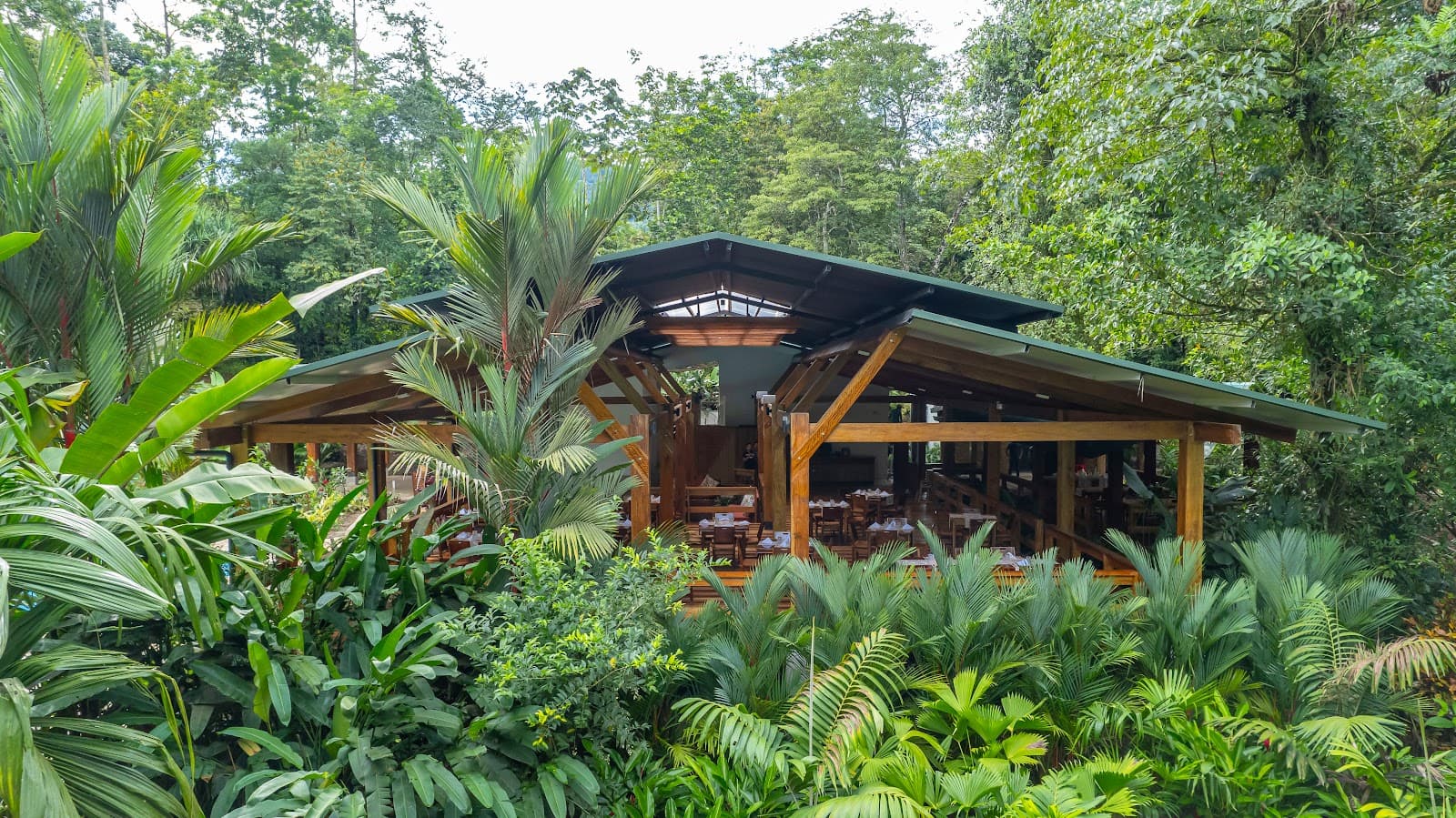 Chachagua Rainforest Reserve - Image 1