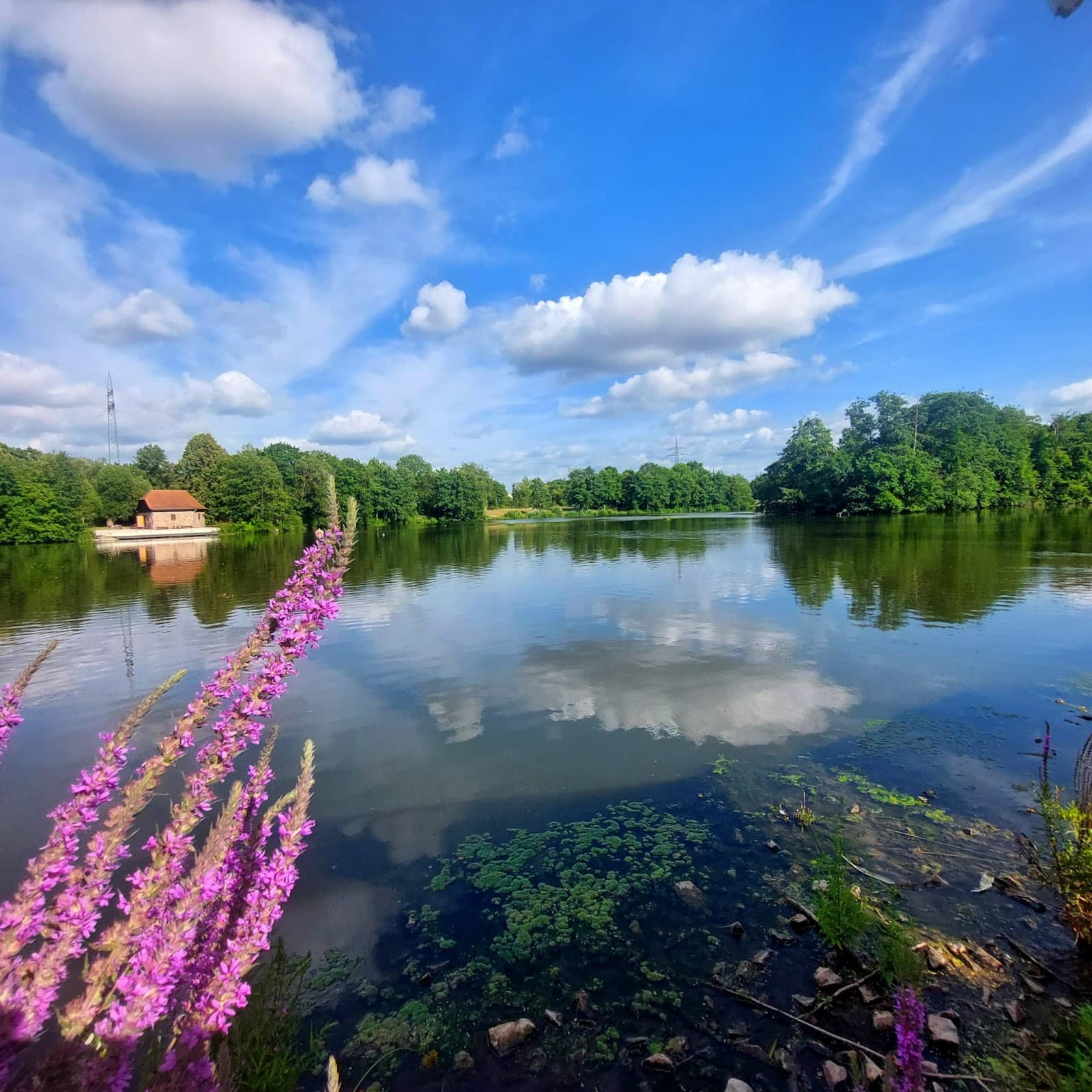 Aueweiher Park - Image 1