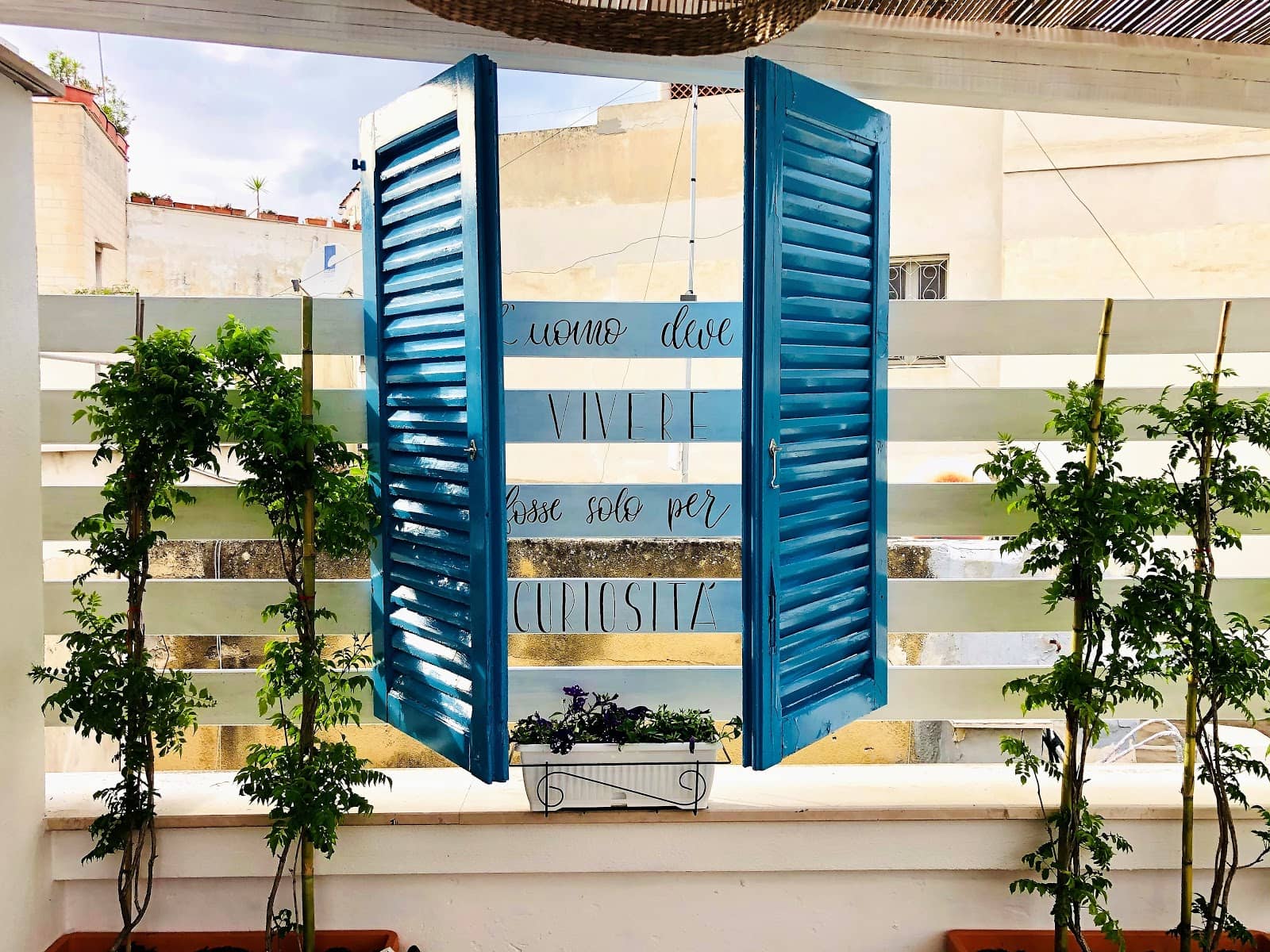 Authentic Trani Atmosphere