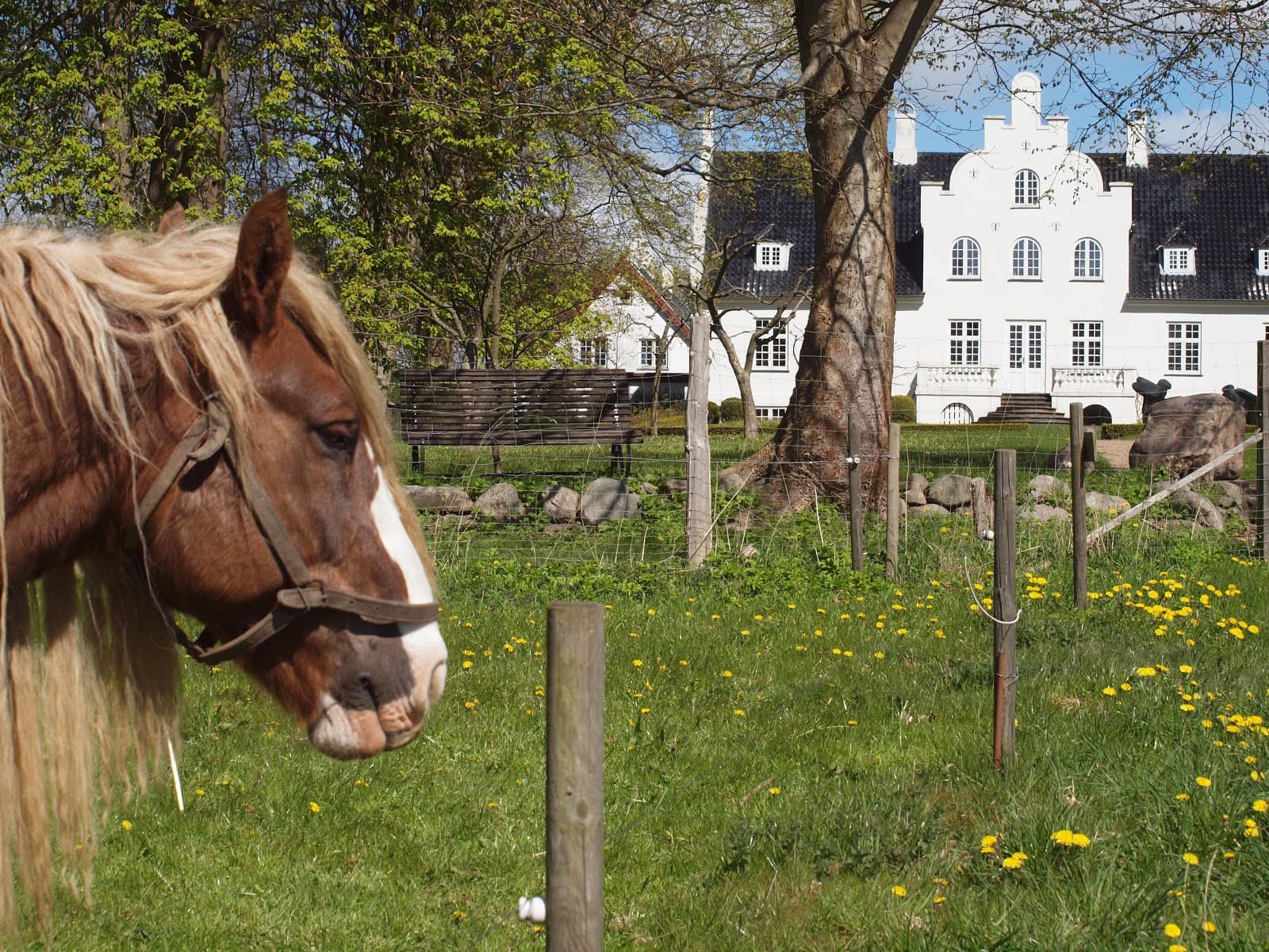 Flynderupgård Museum - Image 1