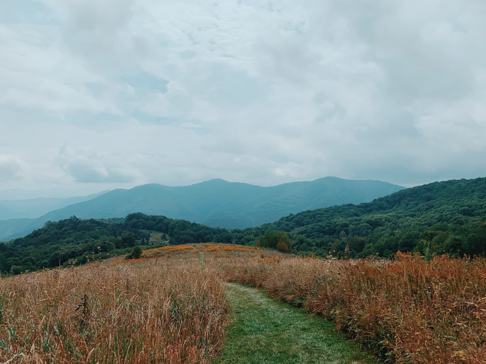 Purchase Knob Great Smoky Mountains National Park - Image 1