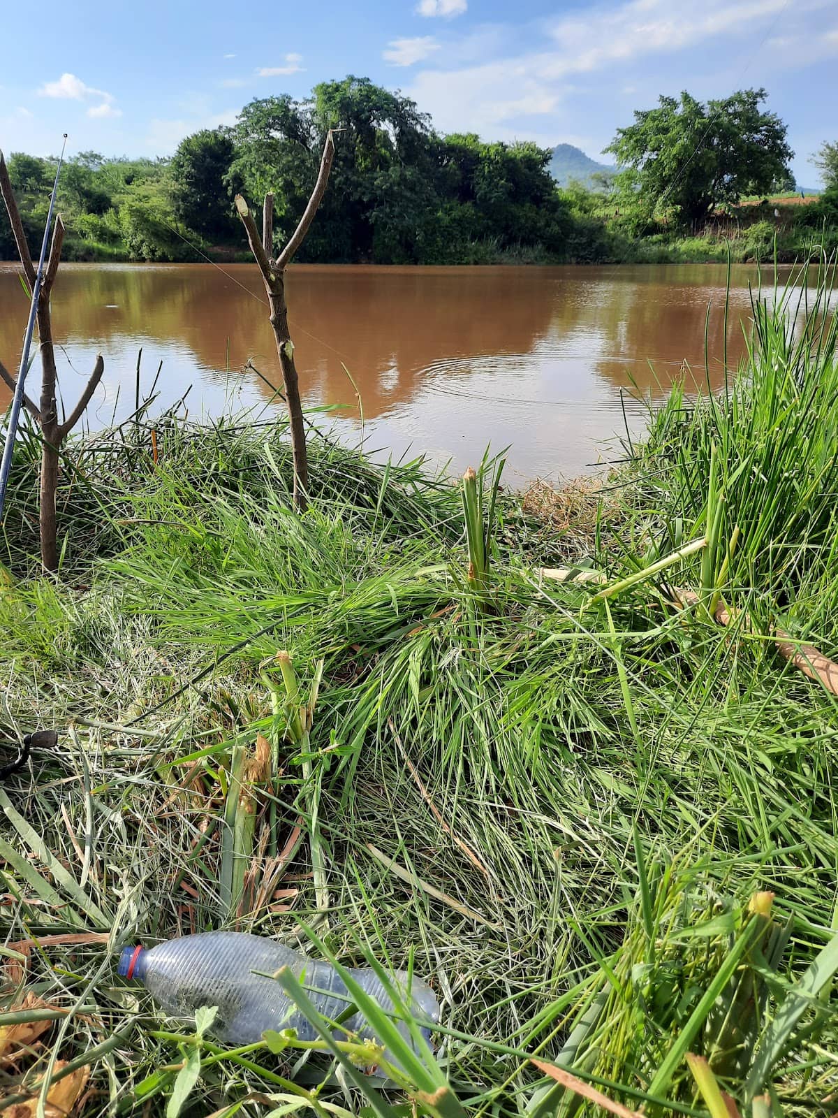 Makuya Nature Reserve Views