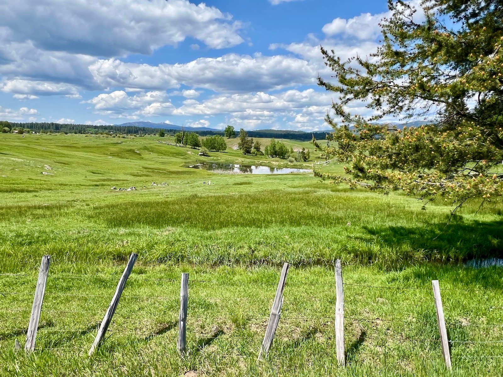 North Valley Rail Trail - Image 1