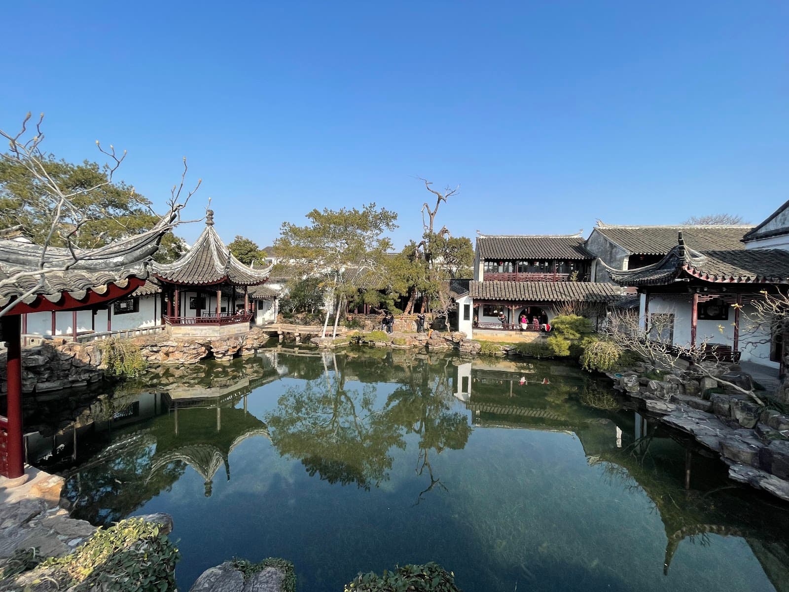 Master of the Nets Garden - Image 1