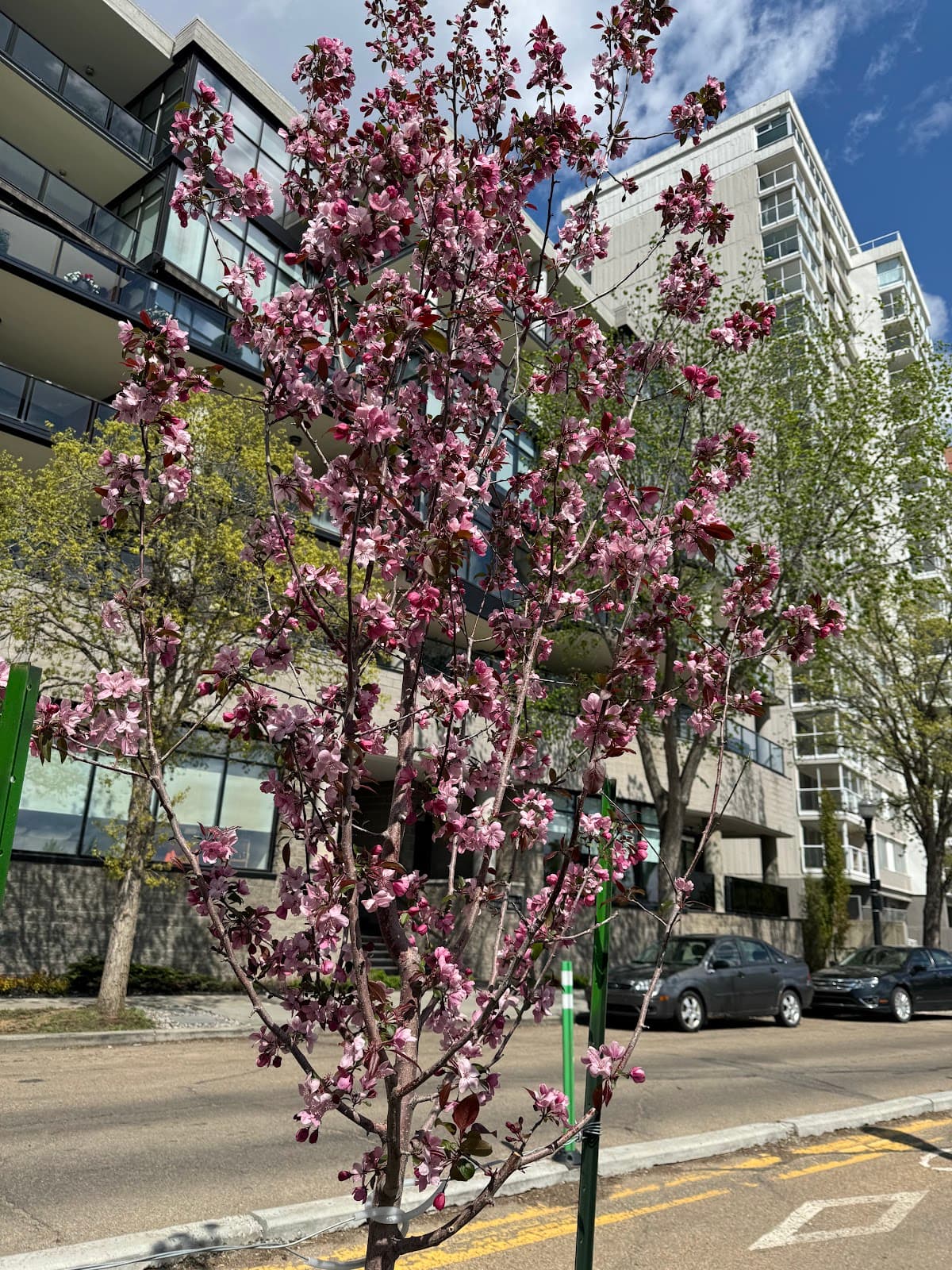 Victoria Promenade - Image 1