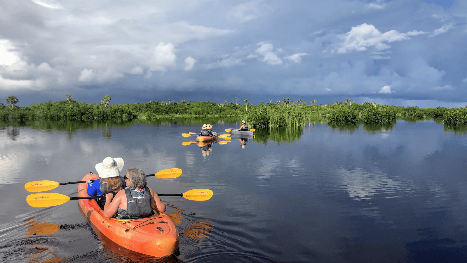 Naples Kayak Tours - Image 1
