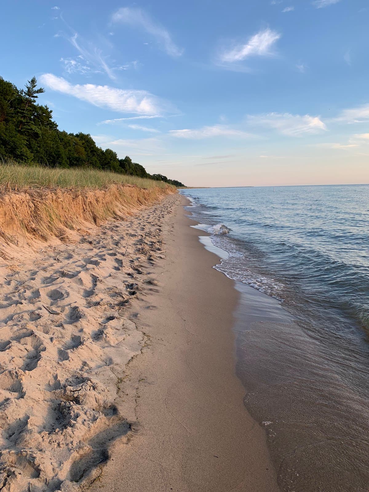 Olive Shores - Image 1