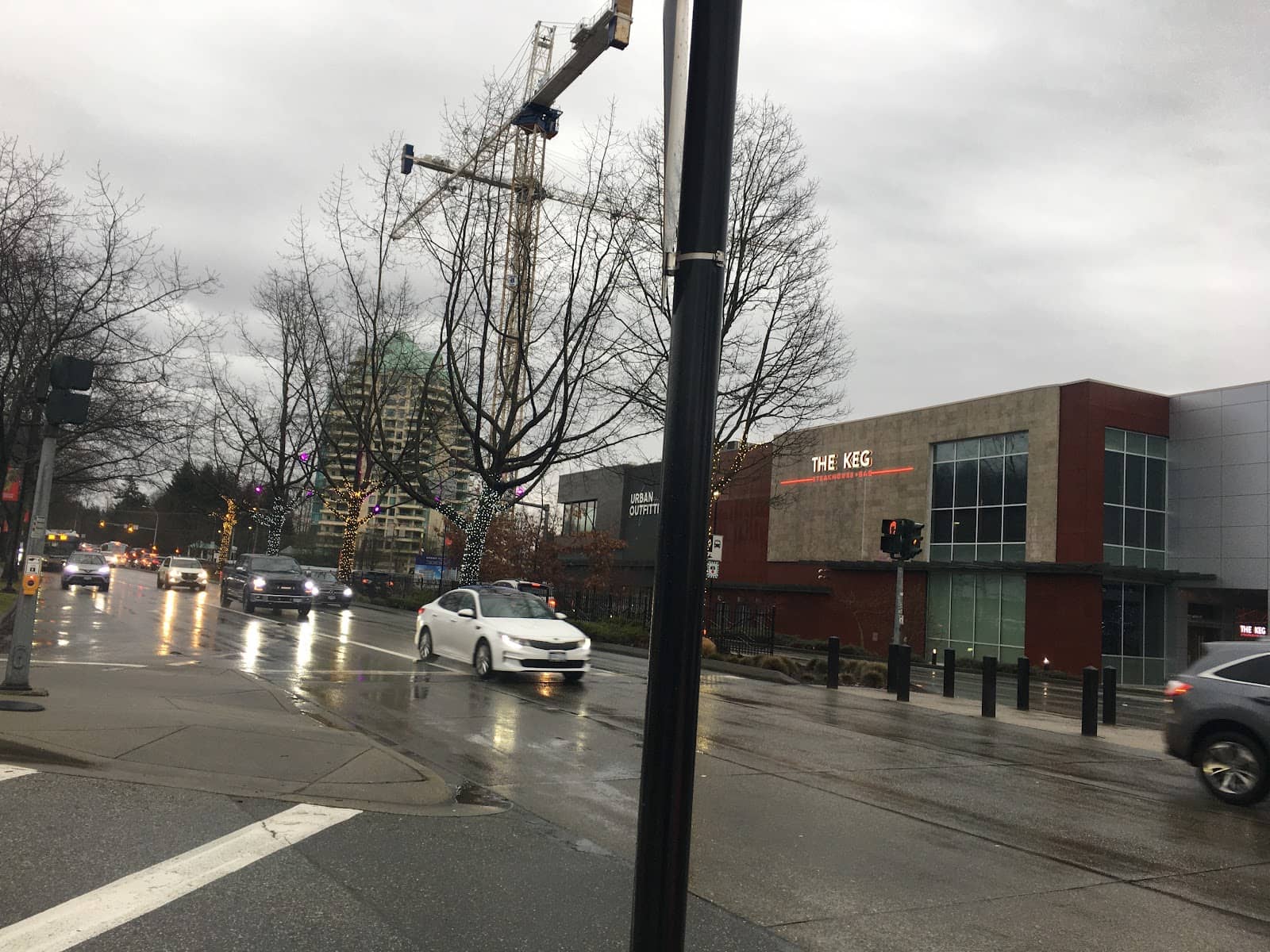 Food Court & Dining Options