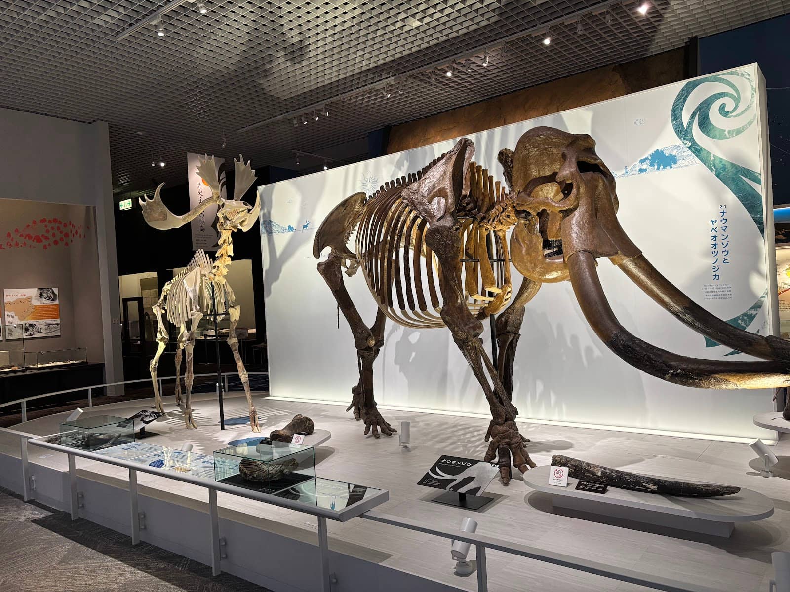 Interactive Displays