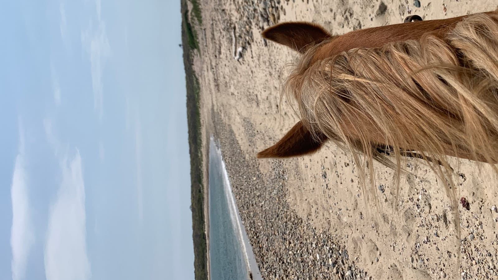 Deep Hollow Ranch - Image 1