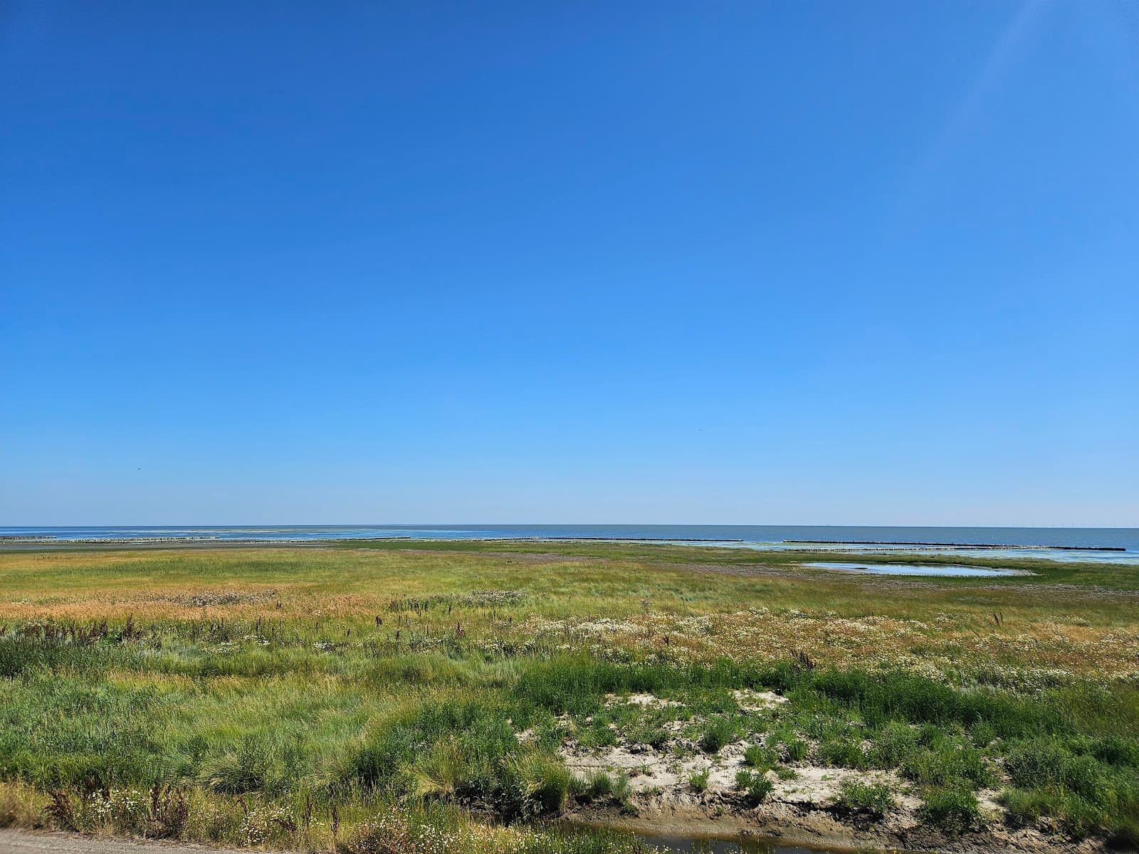 De Schorren - Image 1