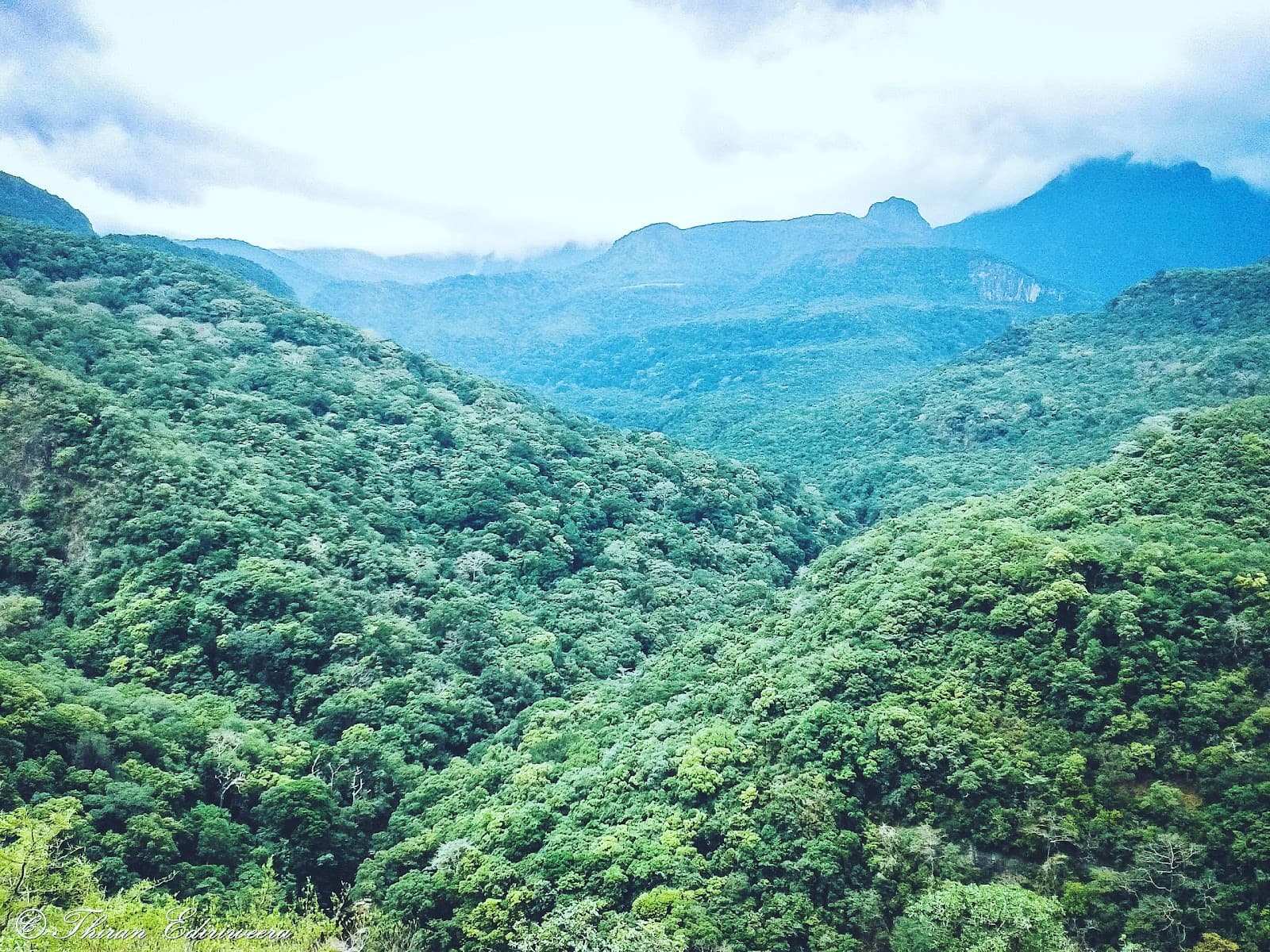 Knuckles Mountain Range - Image 1