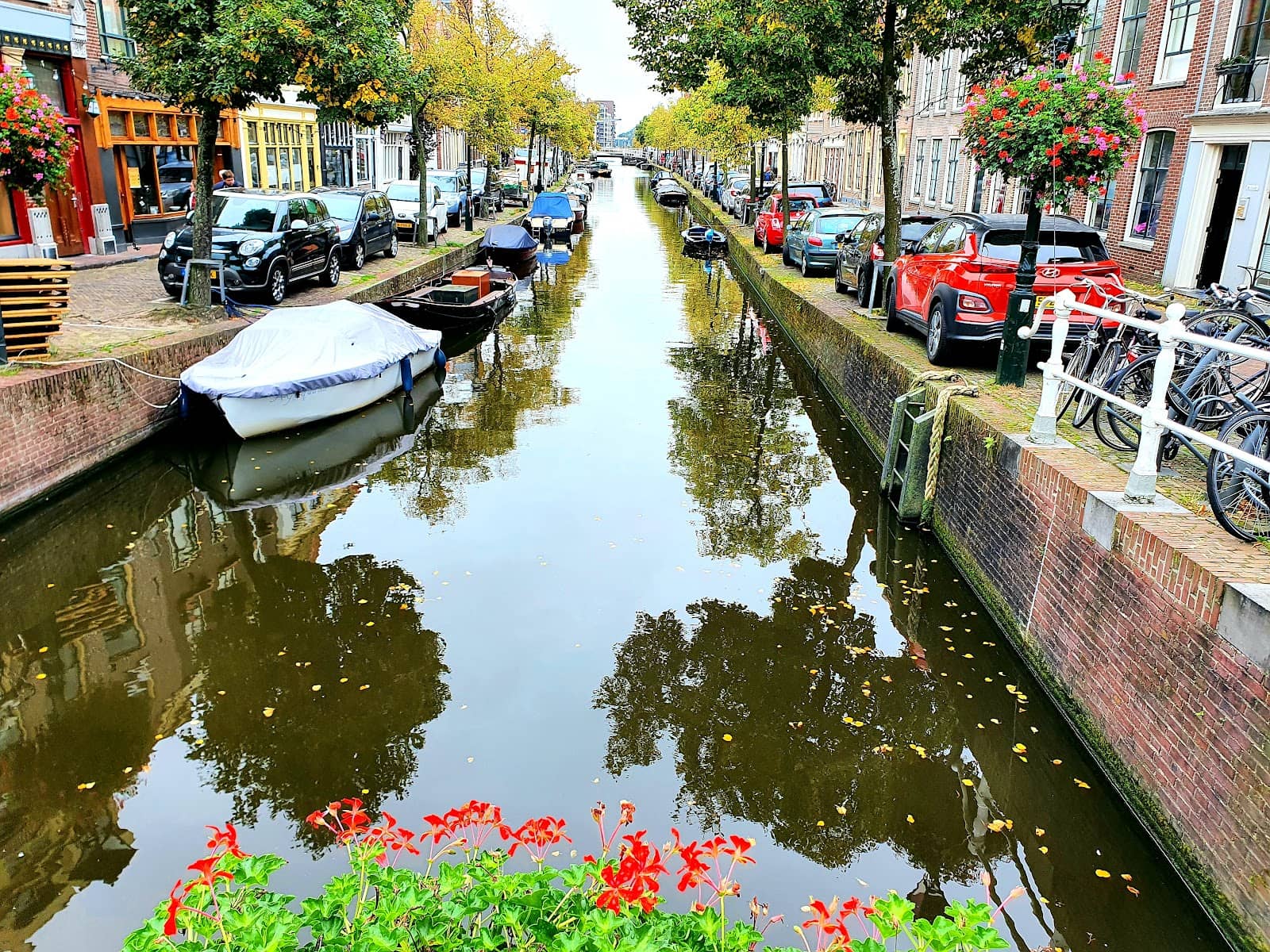 Local Cafes & Bistros