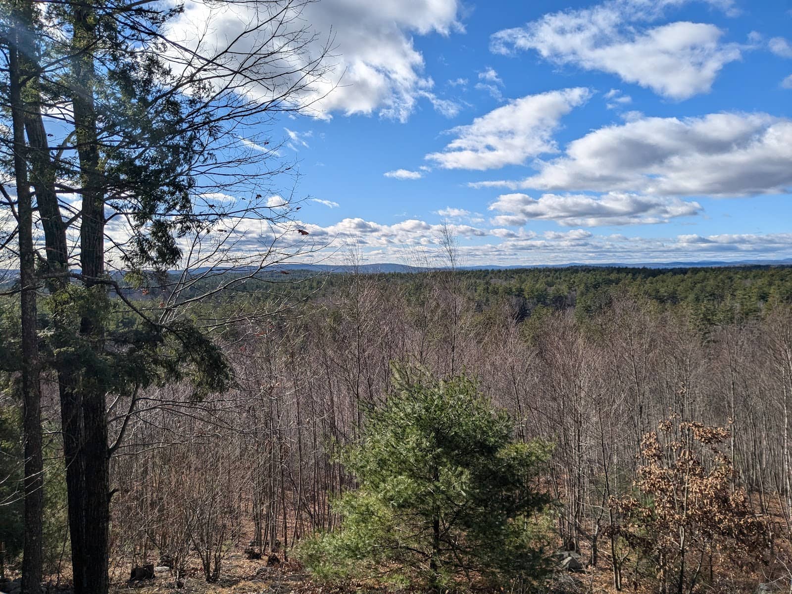 Mountain Biking Single Track