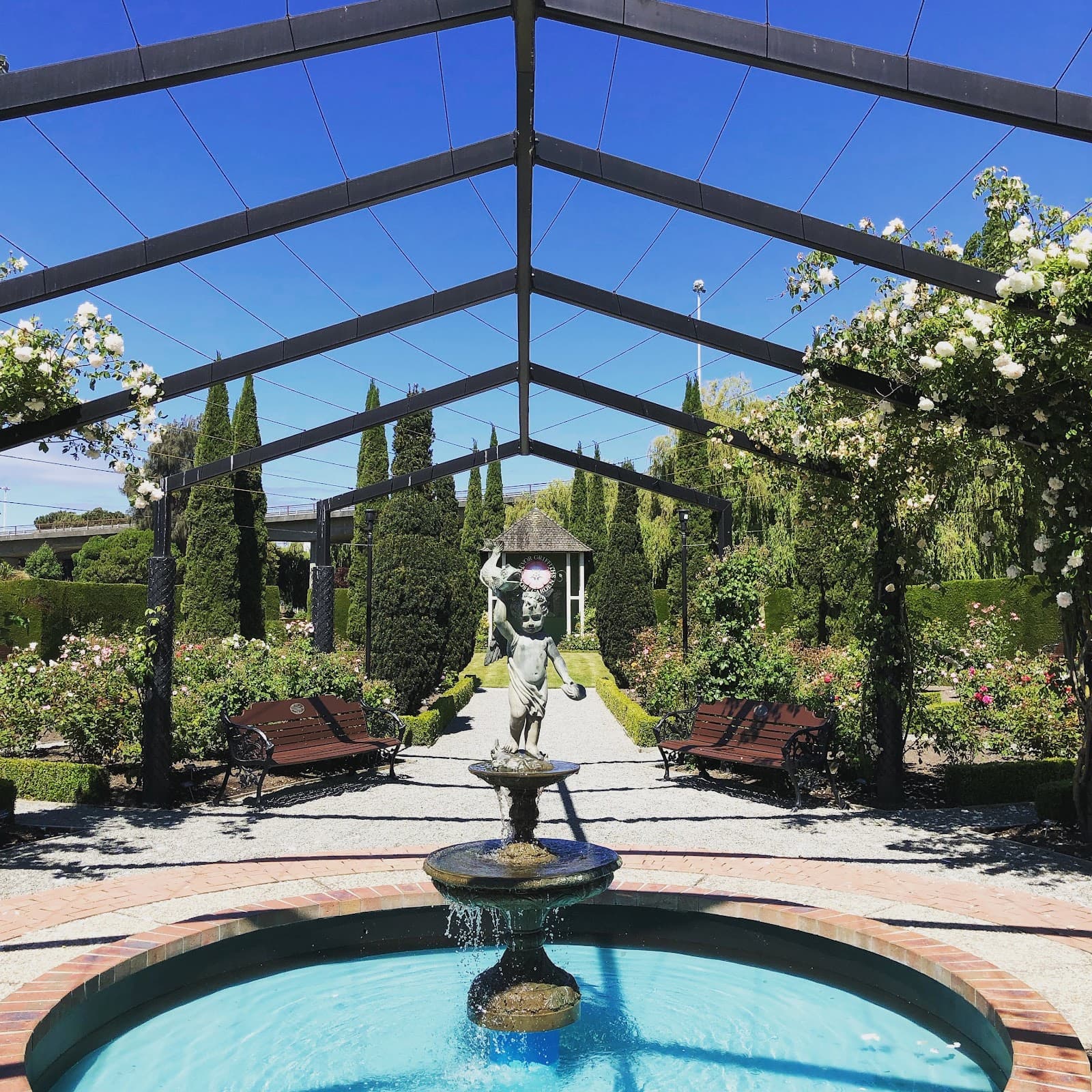 Trevor Griffiths Rose Garden - Image 1