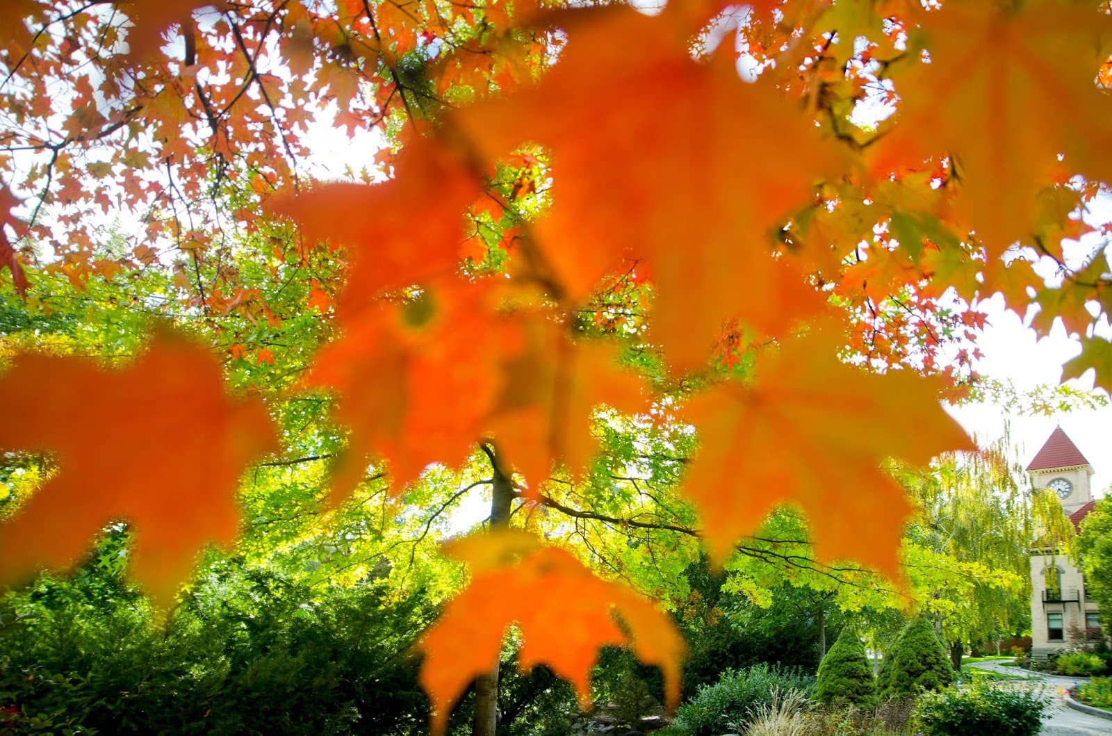 Whitman College Walla Walla - Image 1