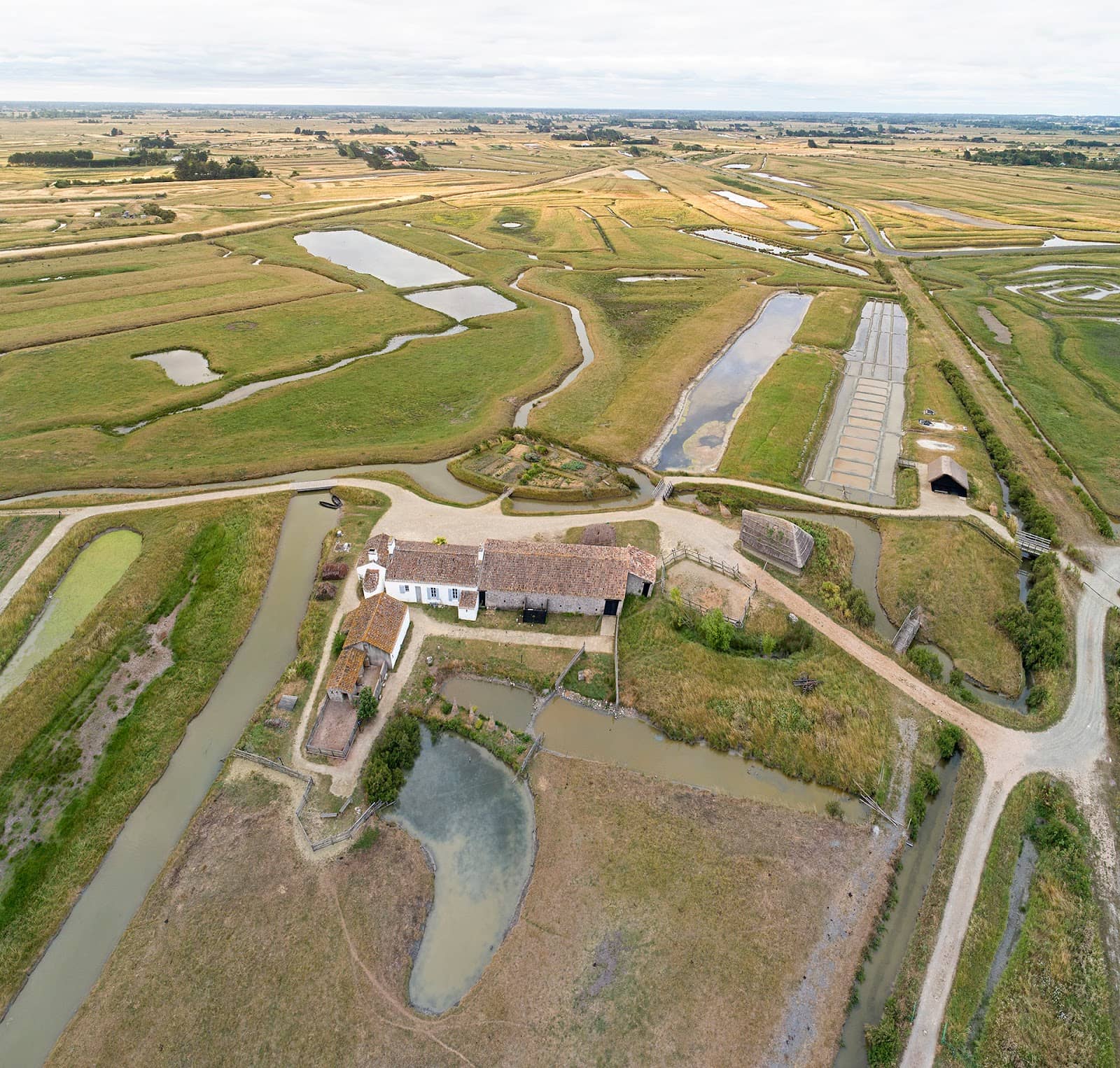 Local Flora and Fauna