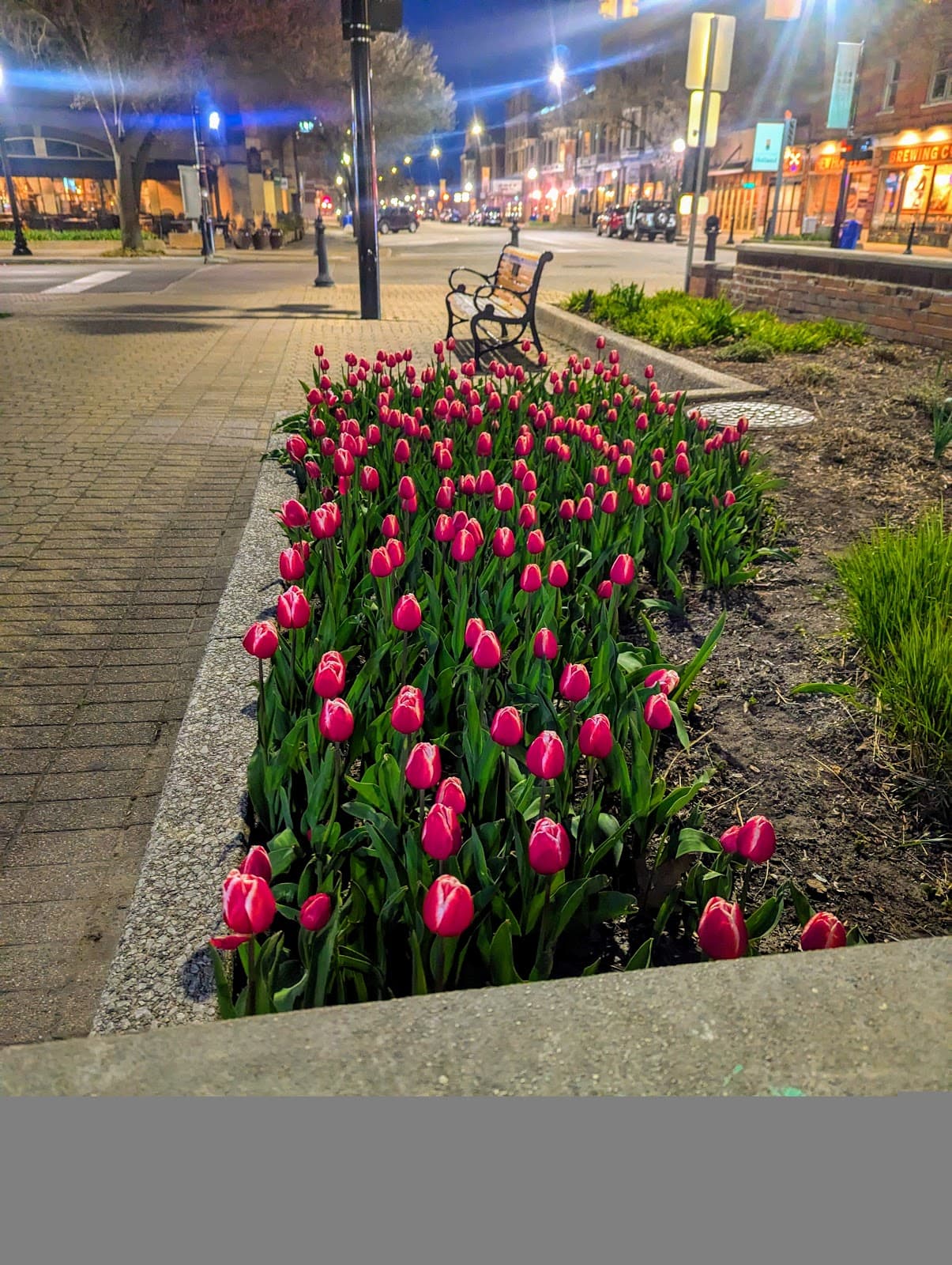 Downtown Holland 8th Street - Image 1