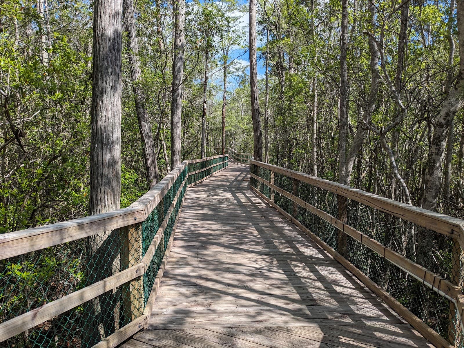 Turkey Creek Nature Trail - Image 1