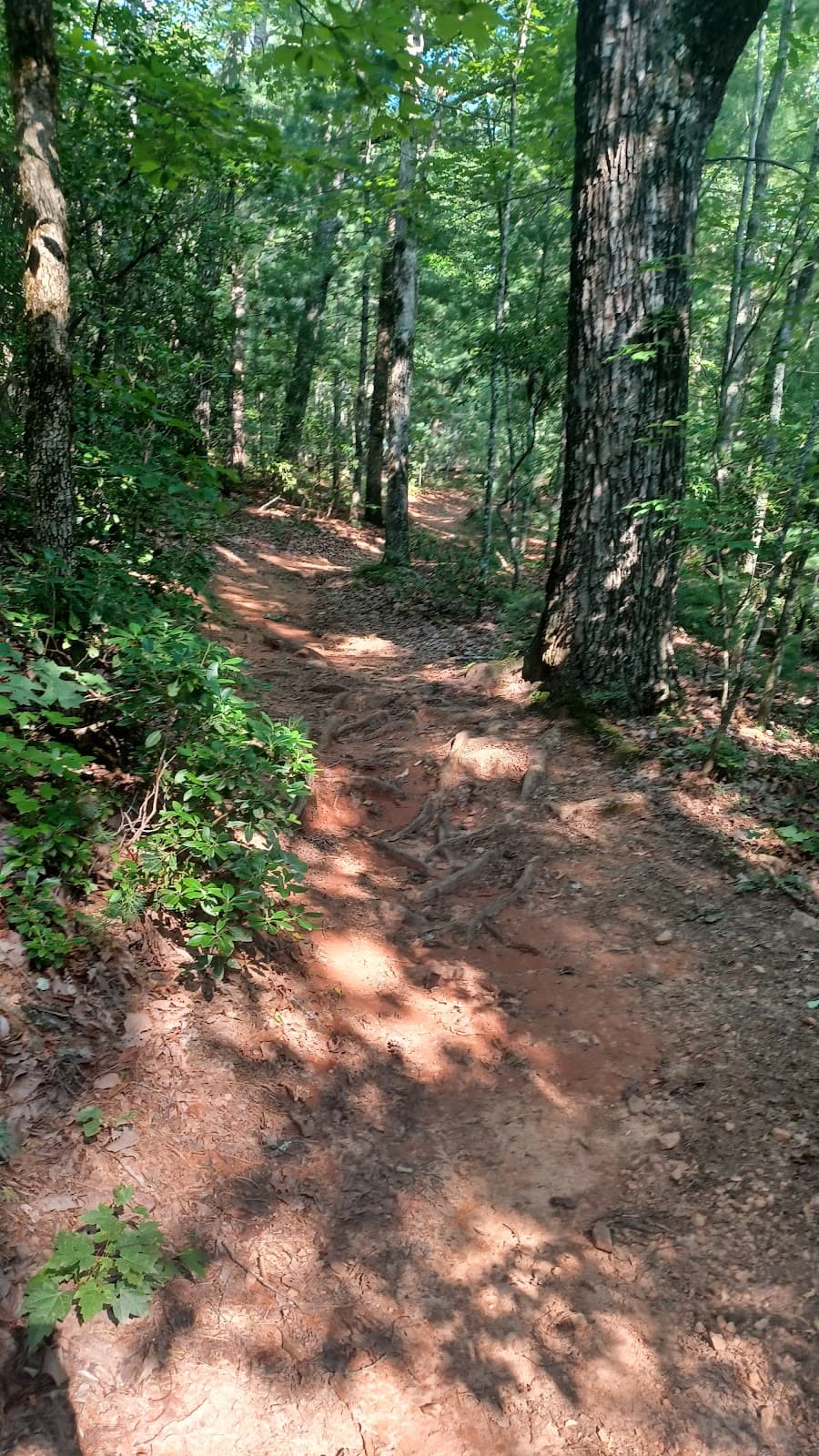 Jake and Bull Mountain Trail System - Image 1