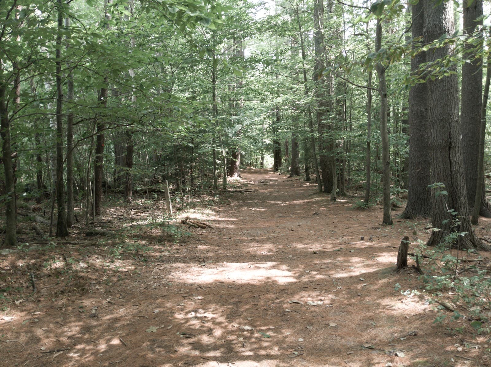 Massabesic Audubon Center - Image 1