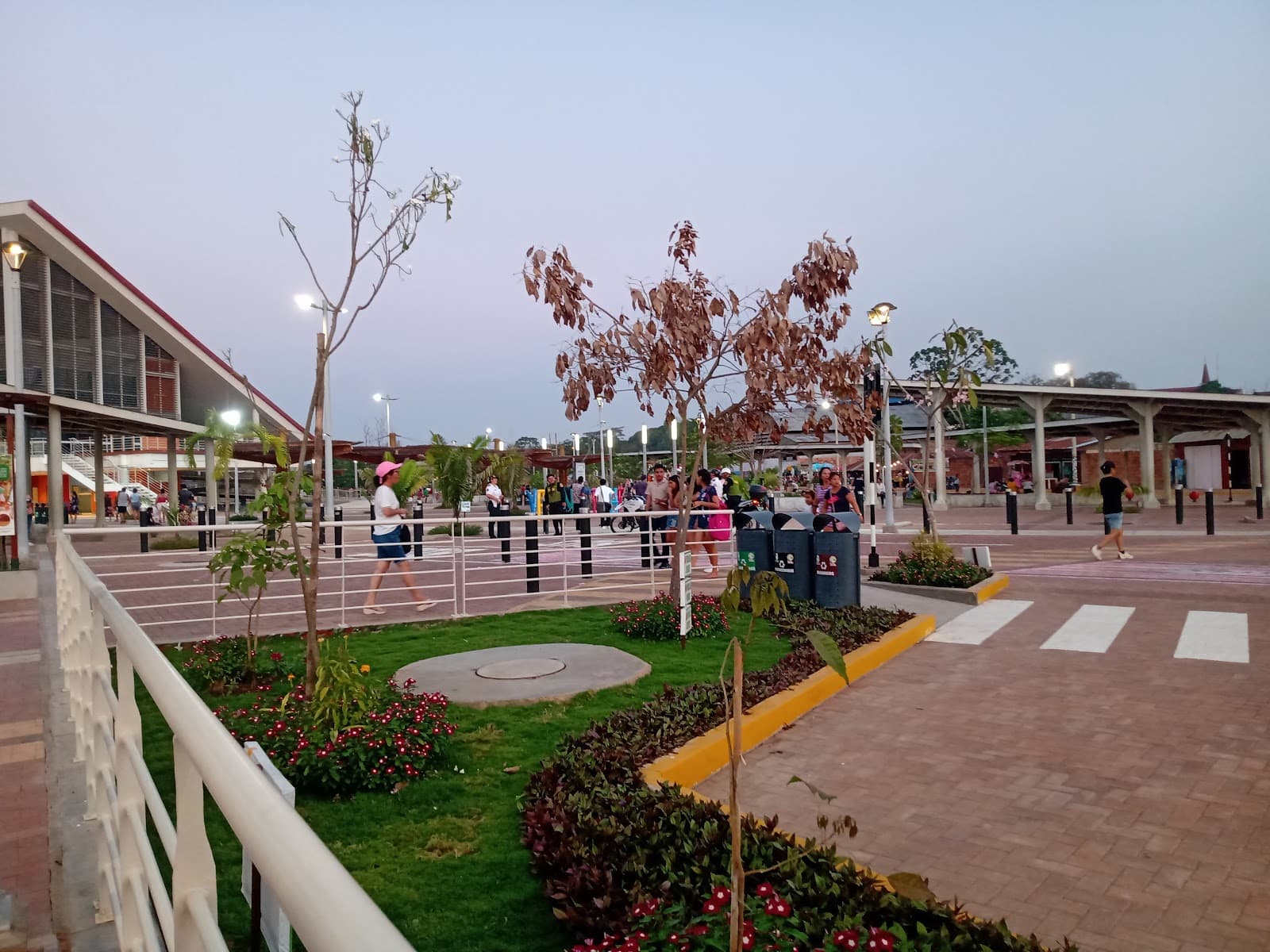 Malecón Yarinacocha (Tushmo) - Image 1