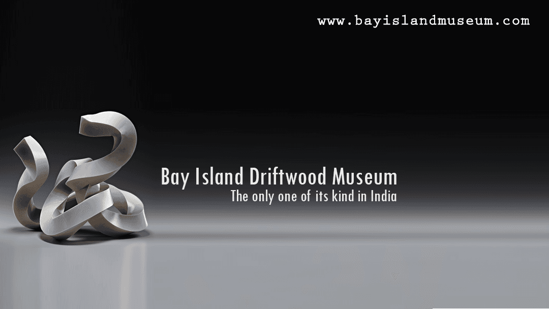 Bay Island Driftwood Museum - Image 1