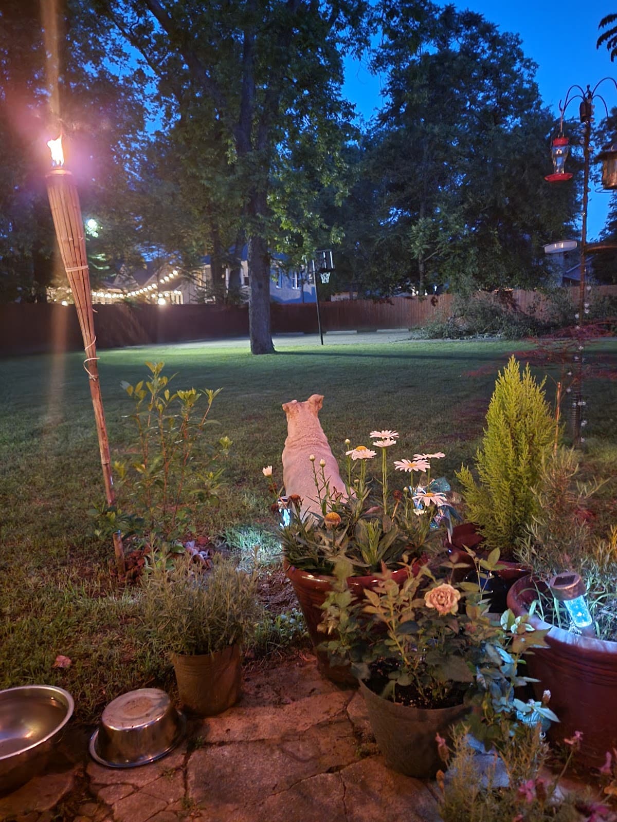 Brick Streets Historic District - Image 1