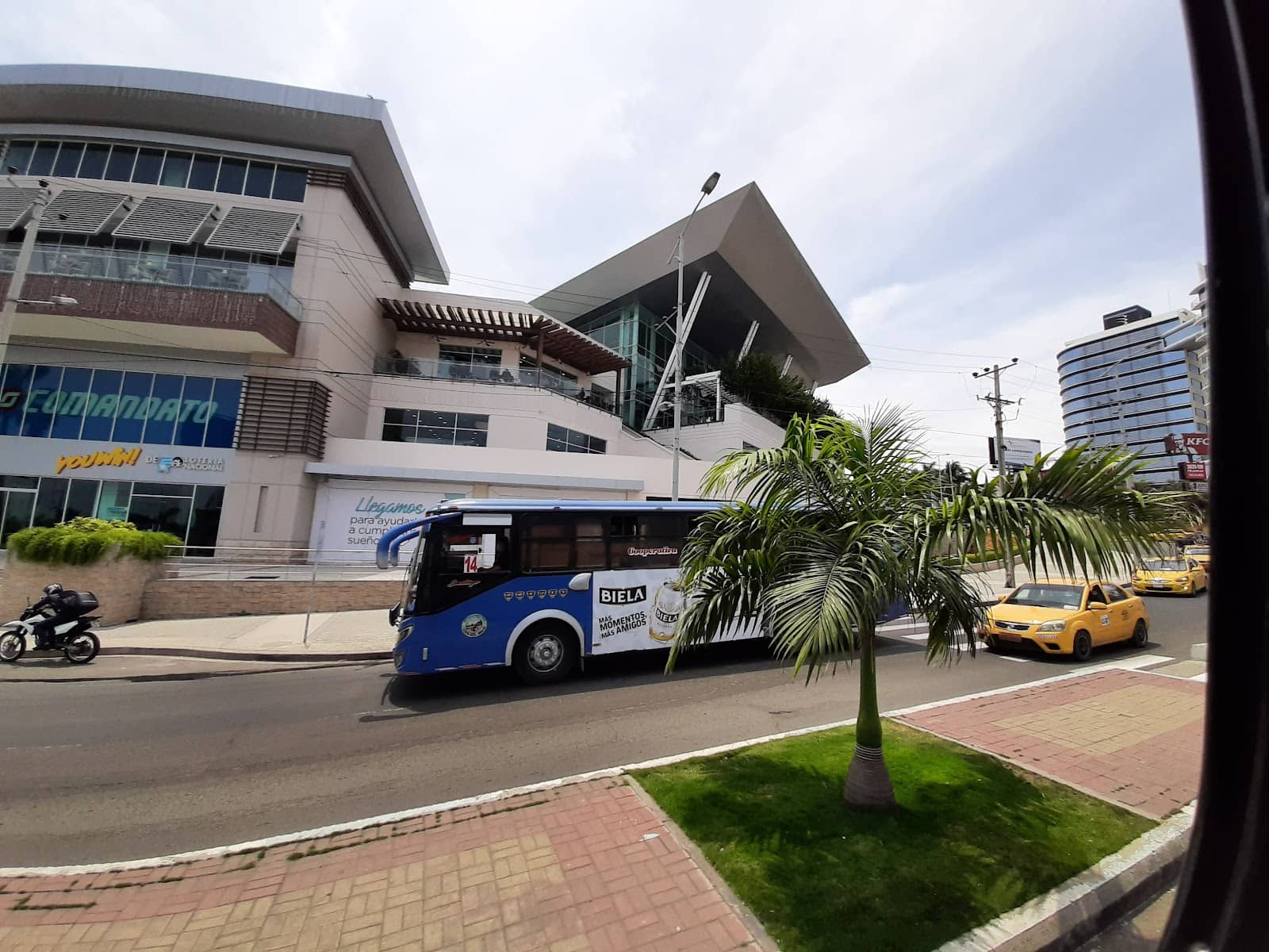 Street Food Delights
