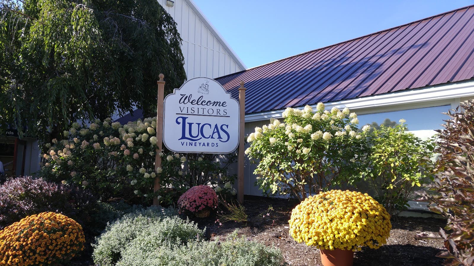 Lucas Vineyards - Image 1