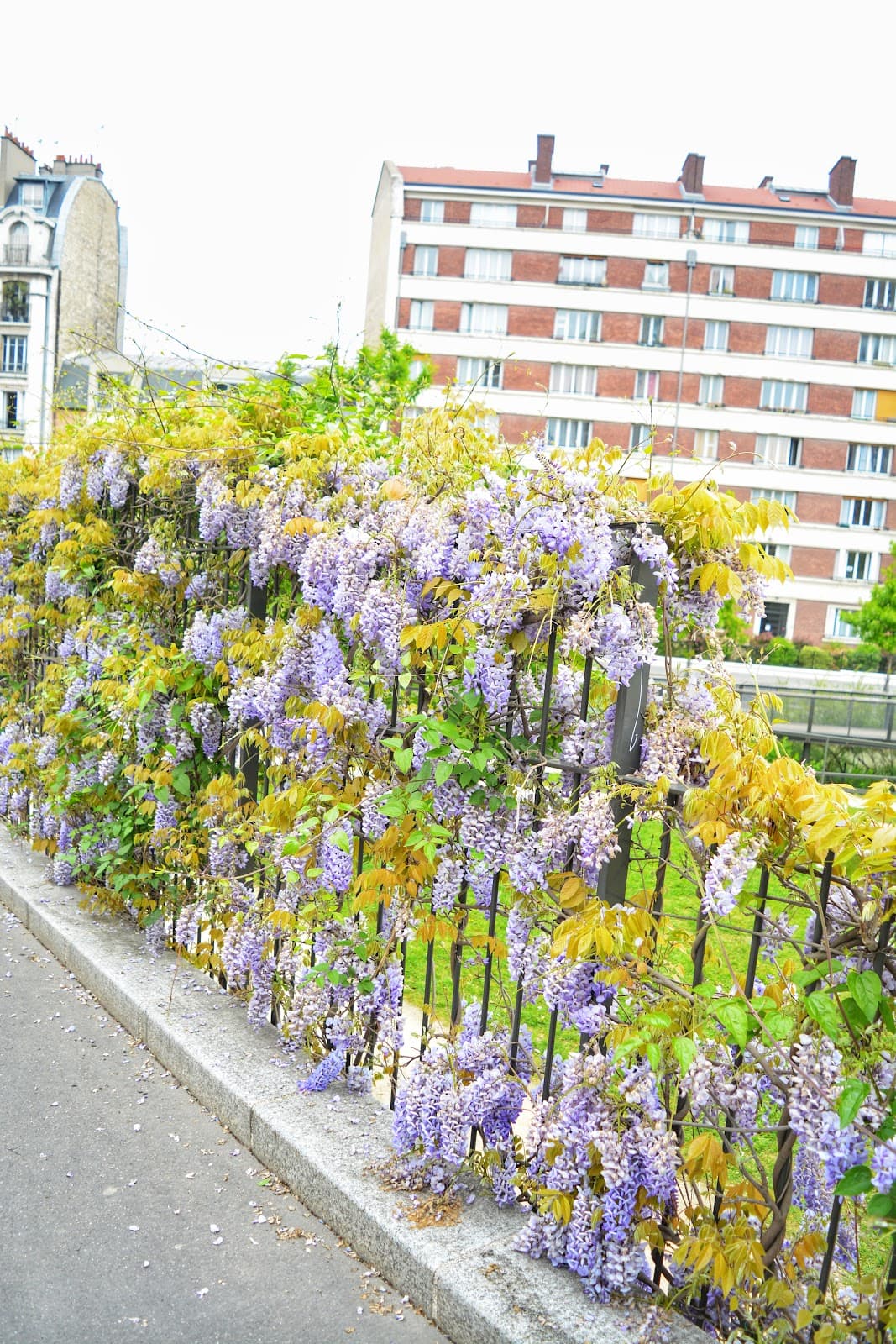 Cité Florale - Image 1