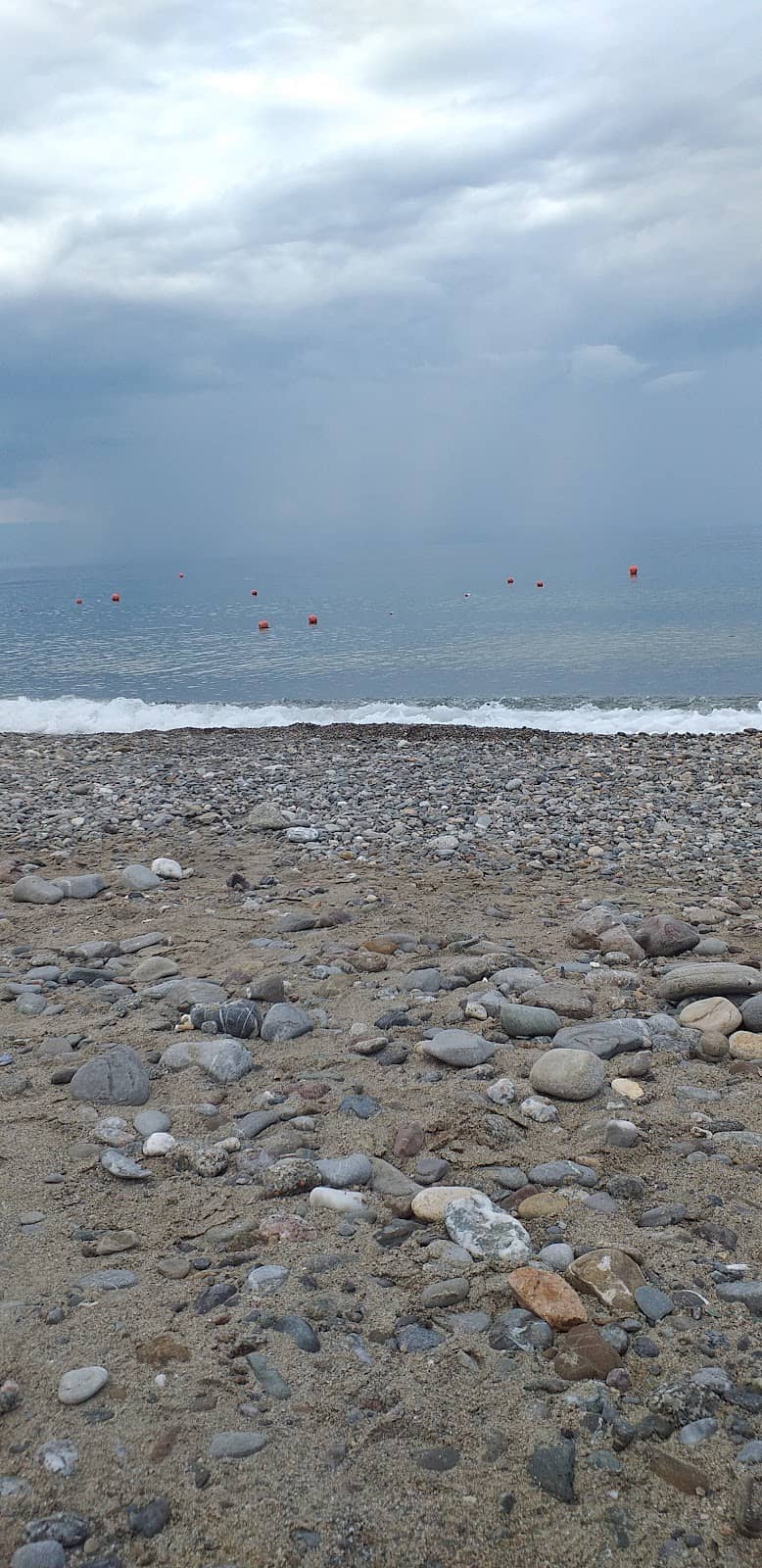 Local Culinary Delights